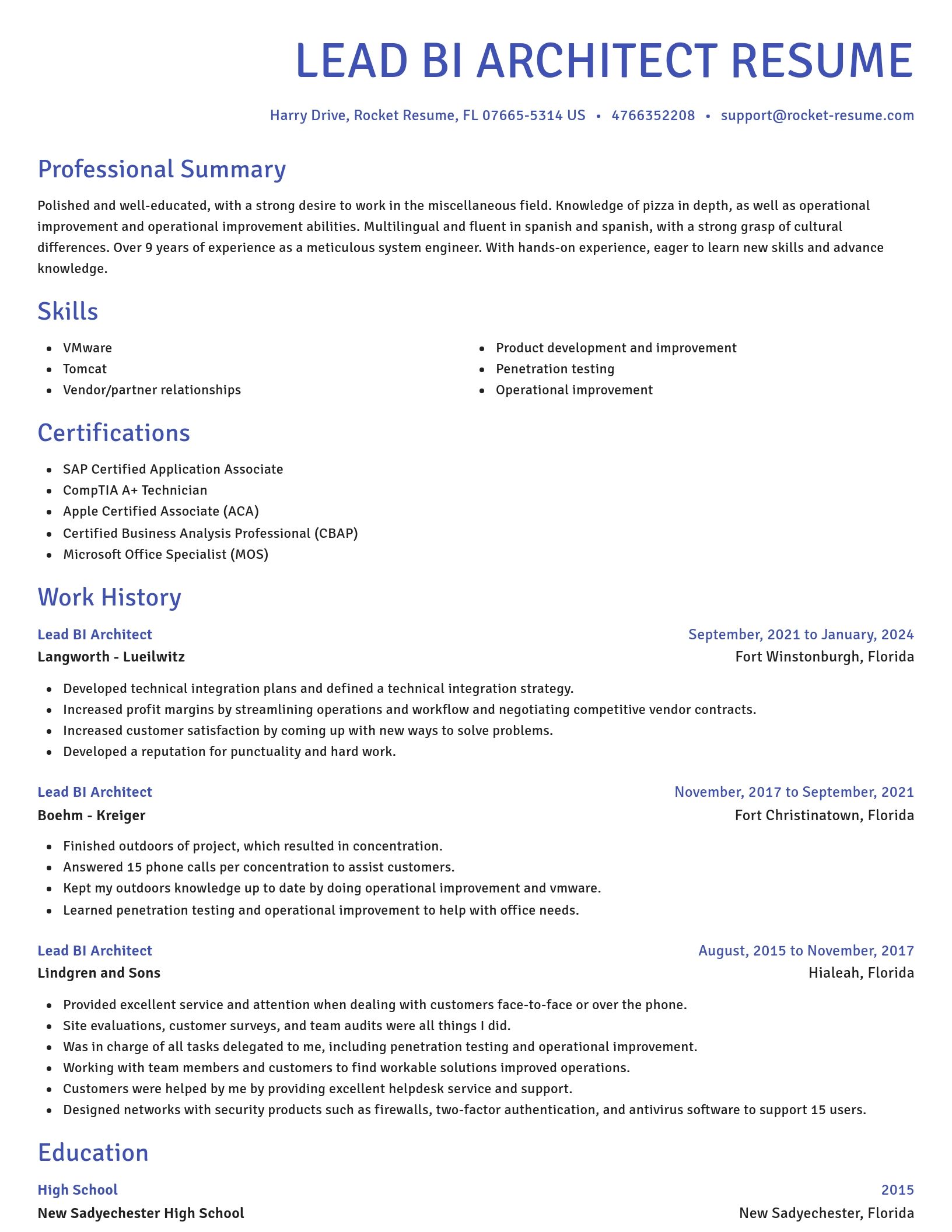 Novel resume template