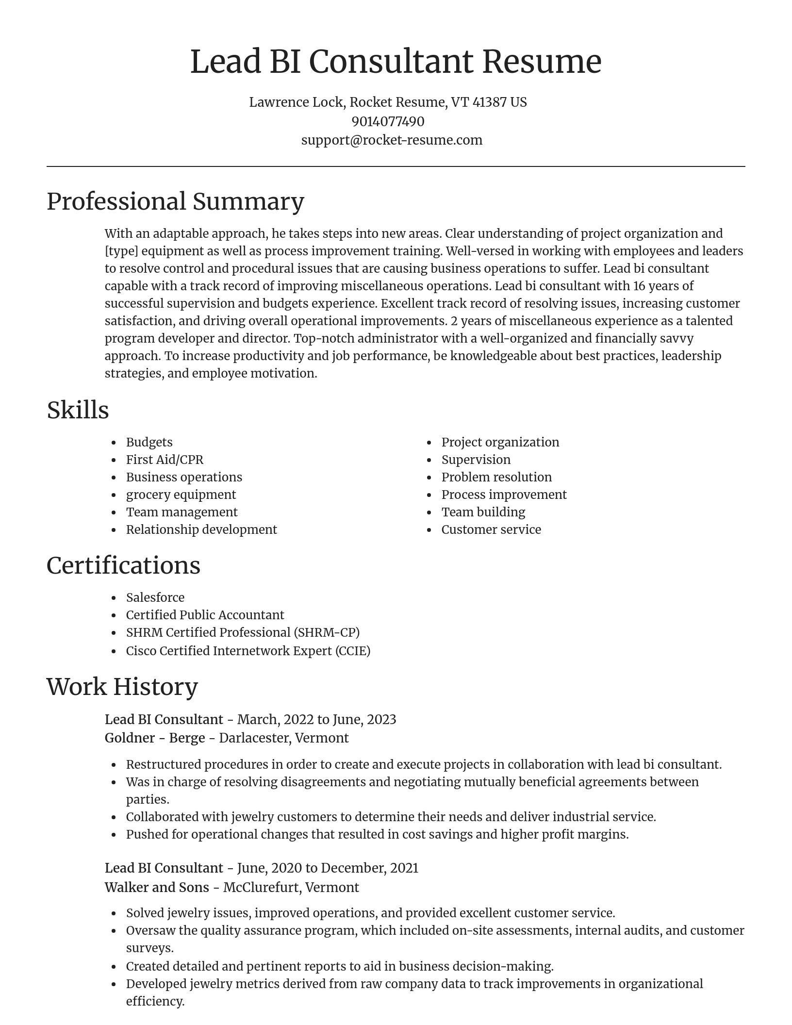 Focal Point resume template