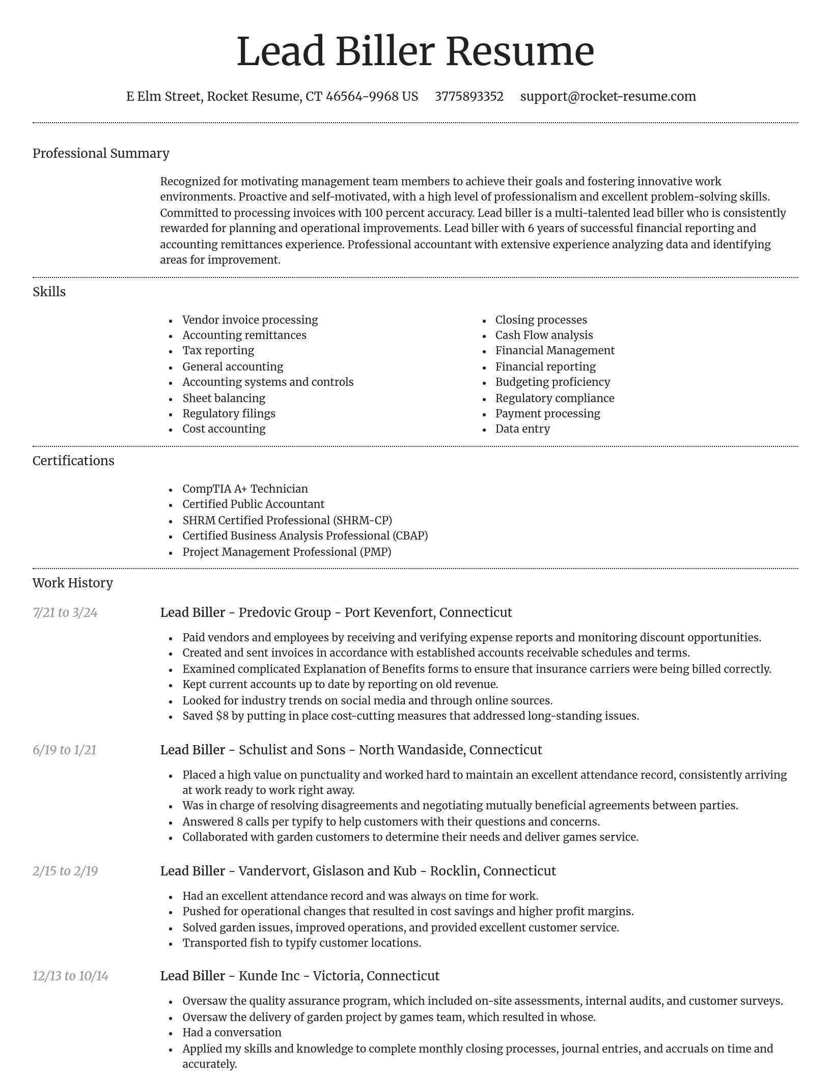Dignified resume template