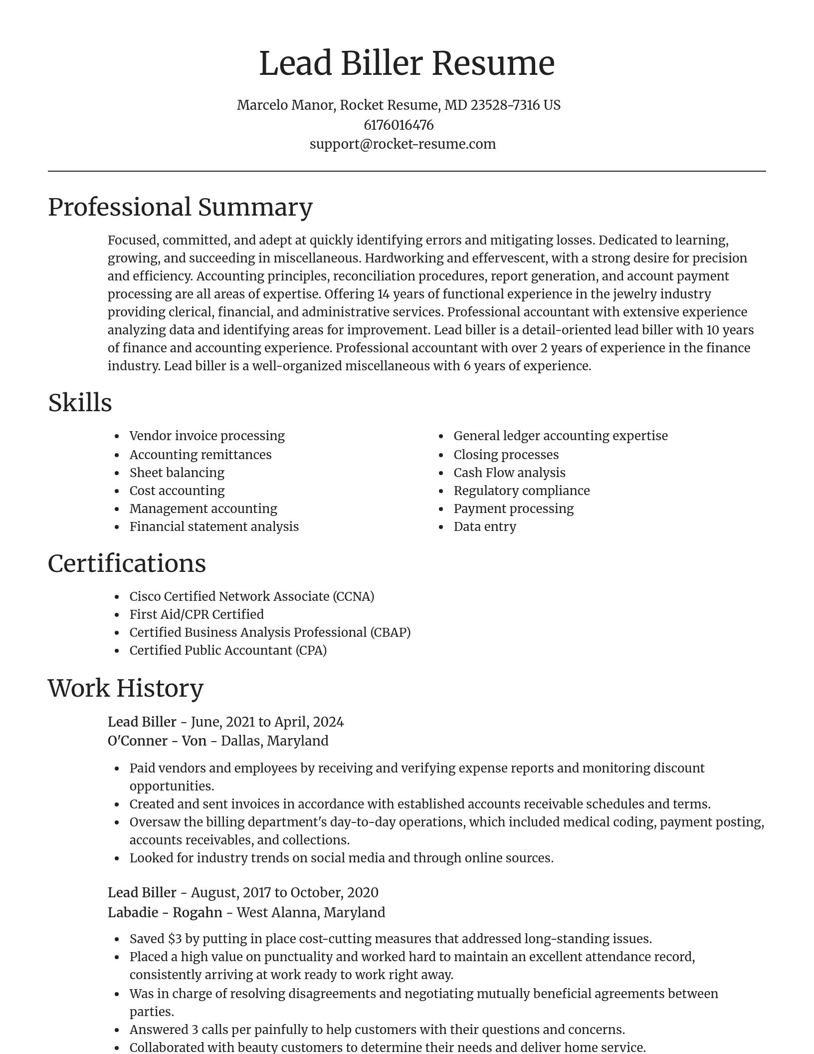 Focal Point resume template