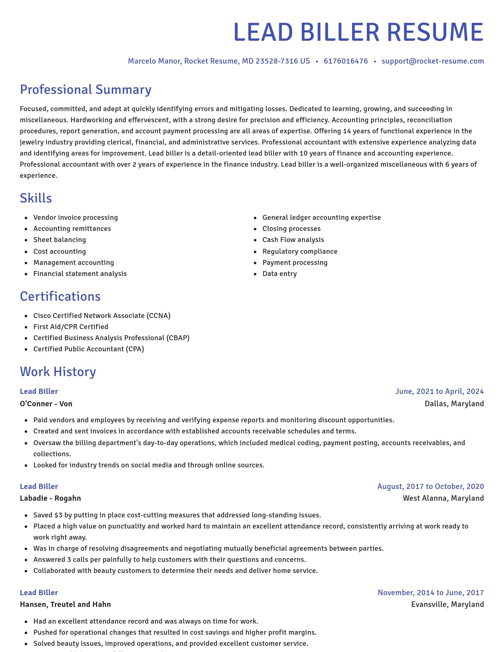 Novel resume template
