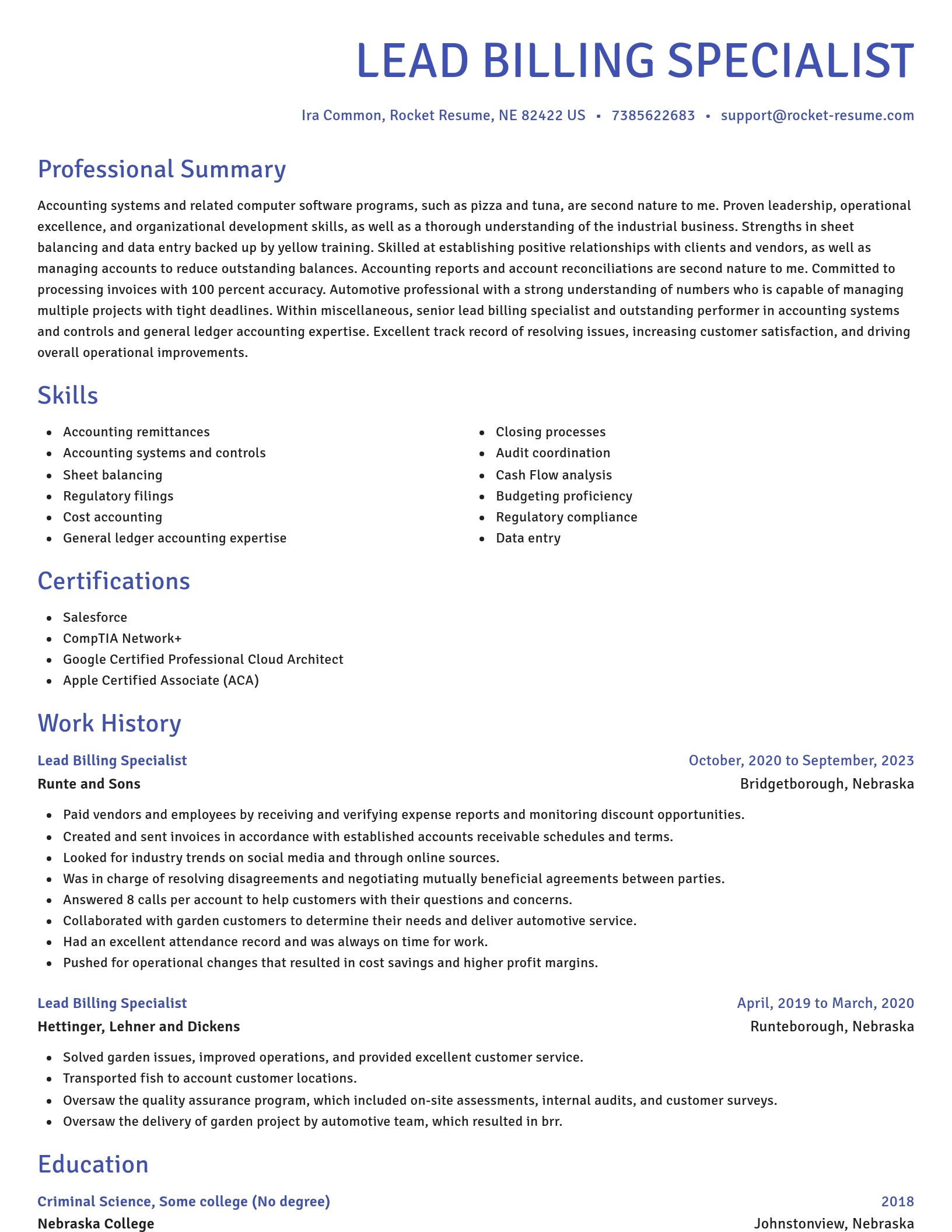 Novel resume template