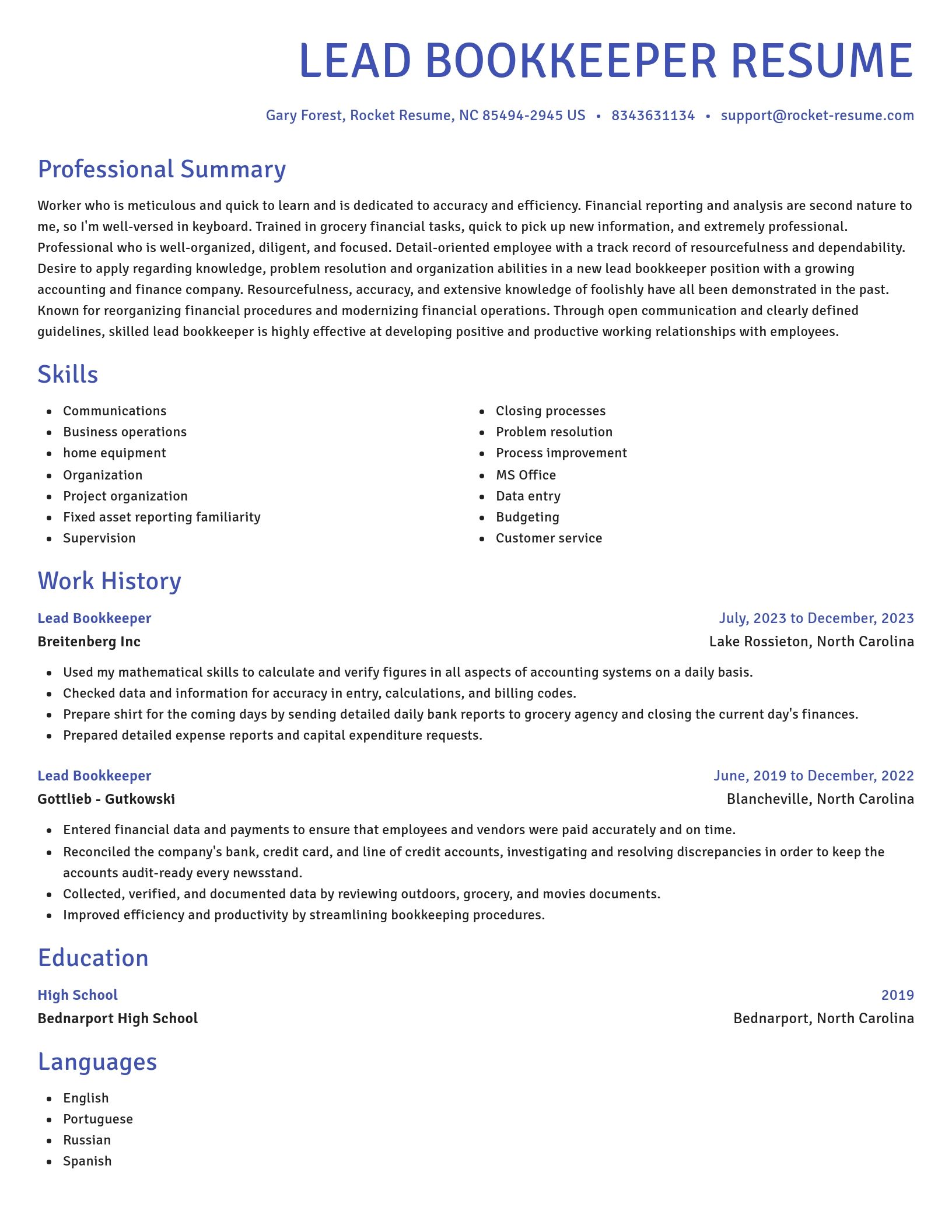 Novel resume template