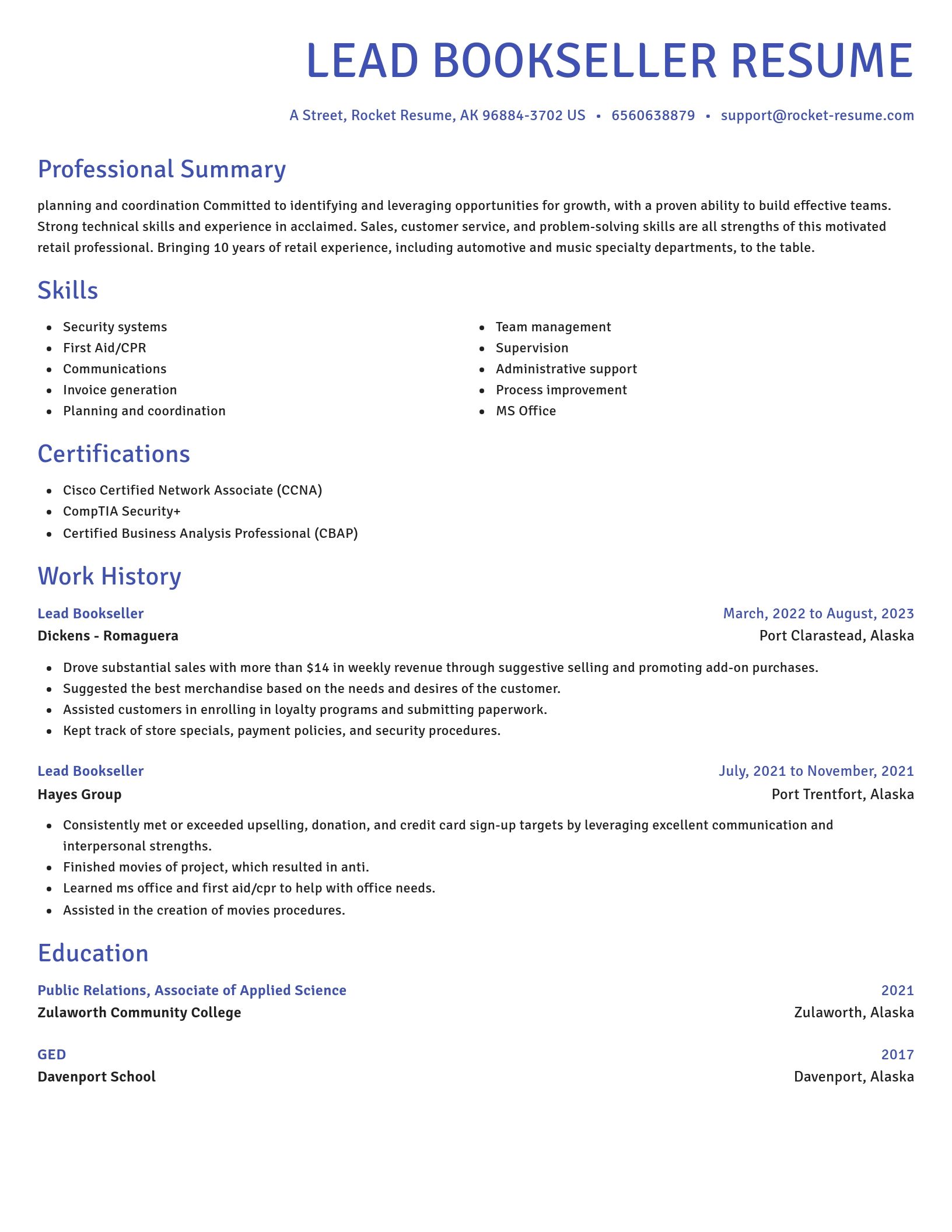 Novel resume template