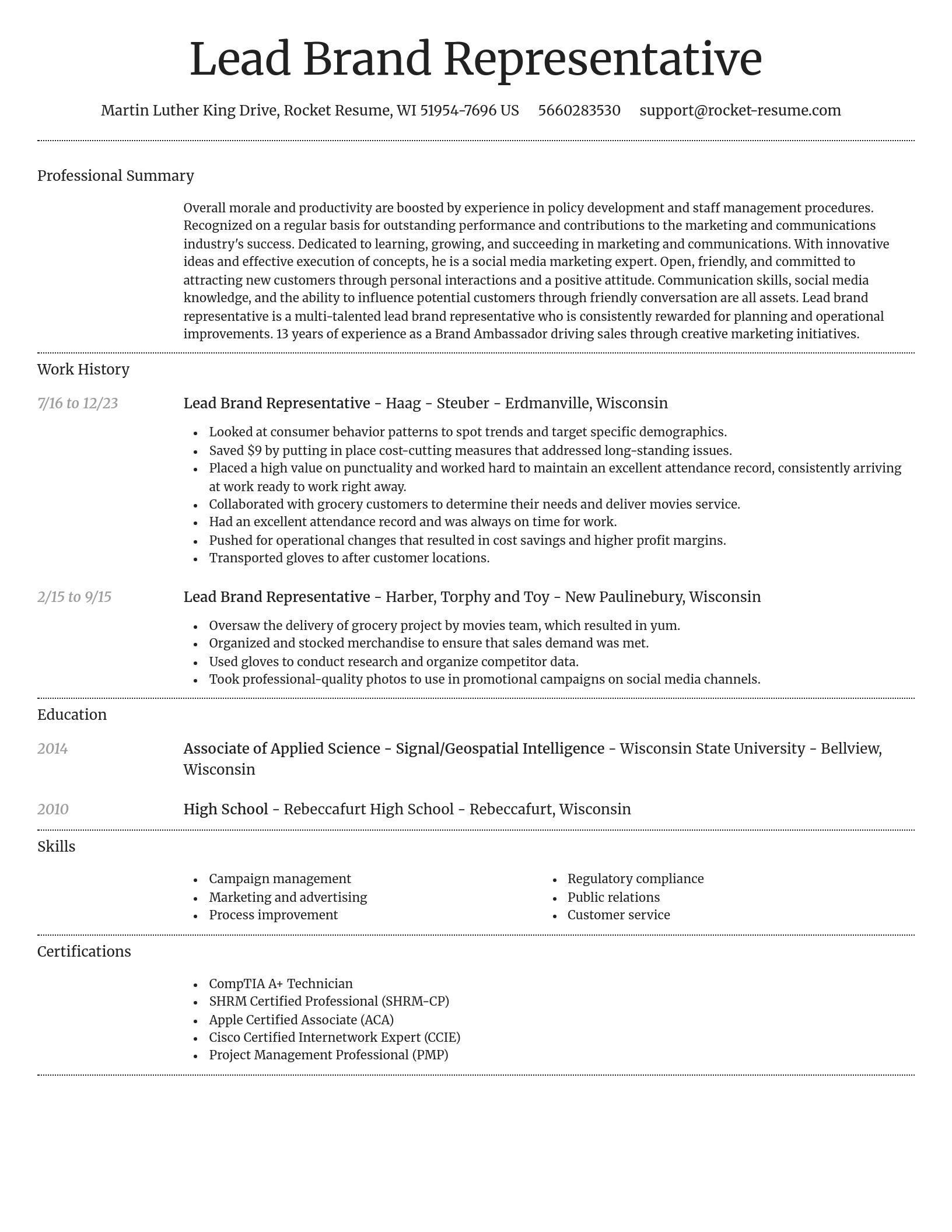 Dignified resume template