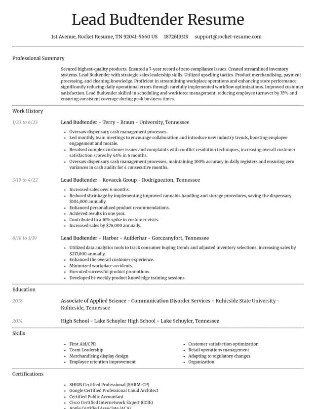 Dignified resume template