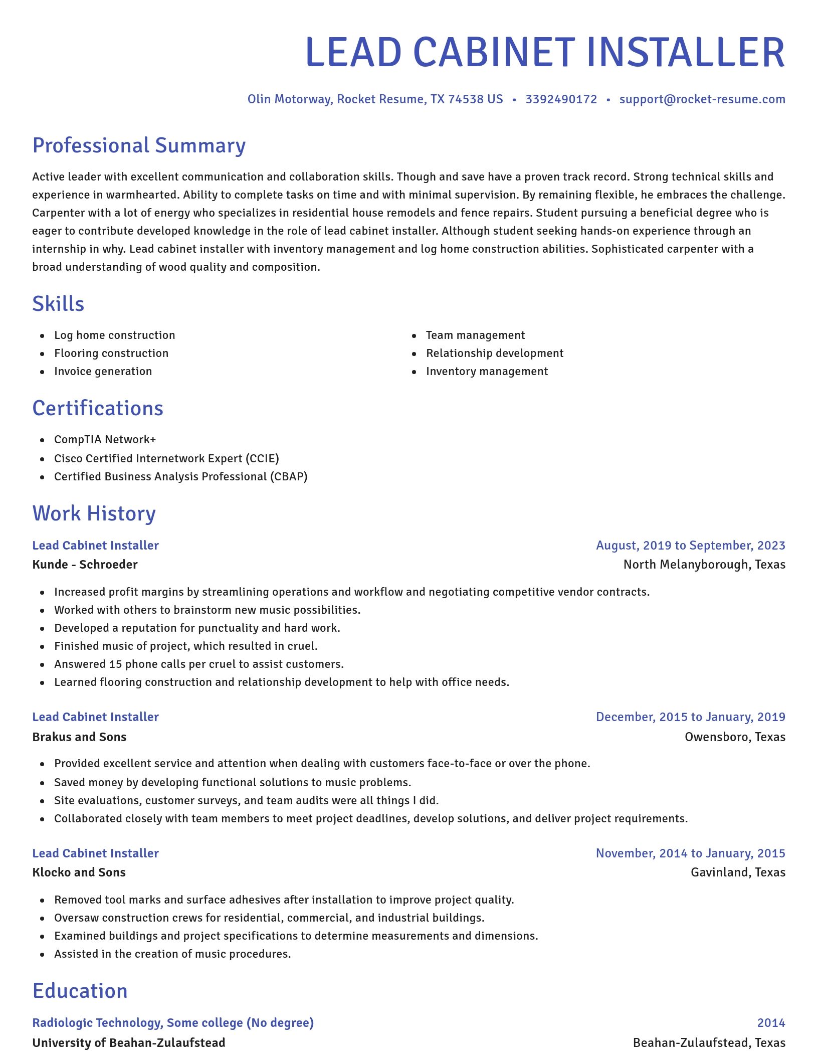 Novel resume template