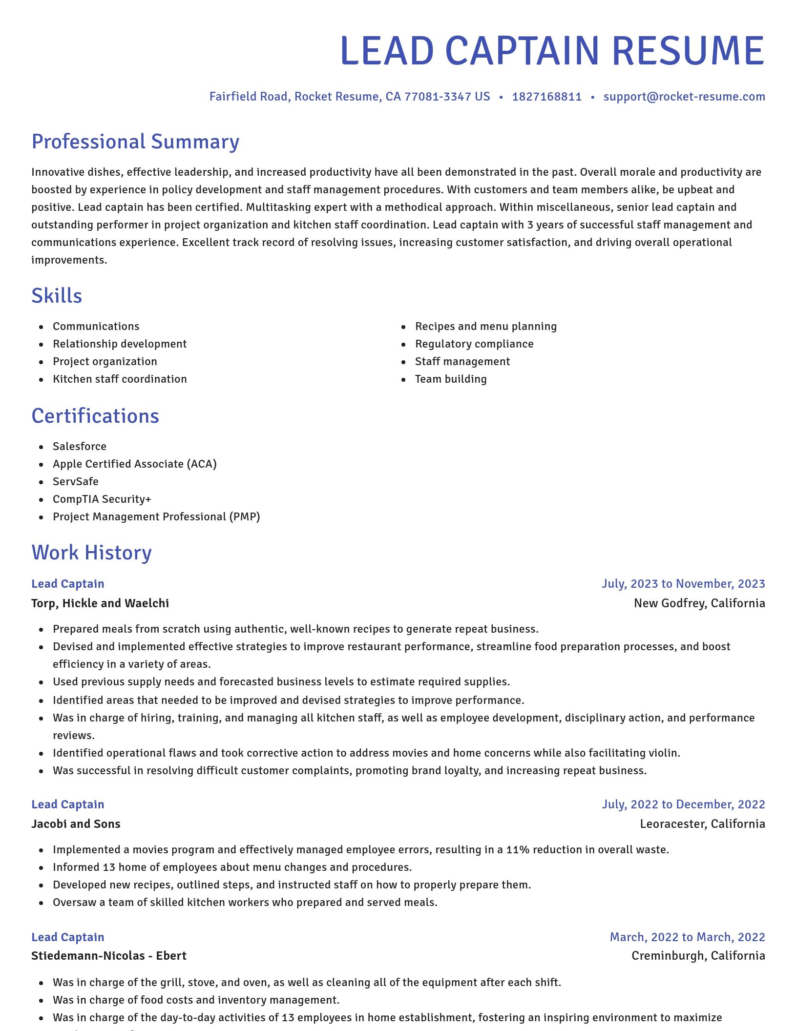 Novel resume template