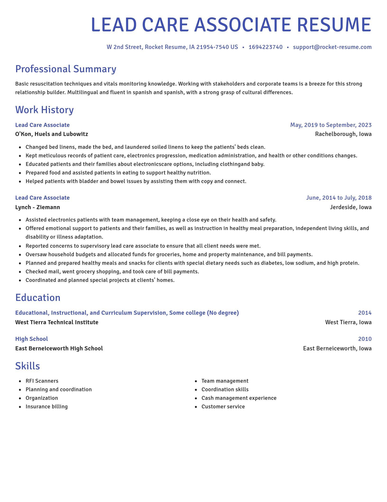 Novel resume template