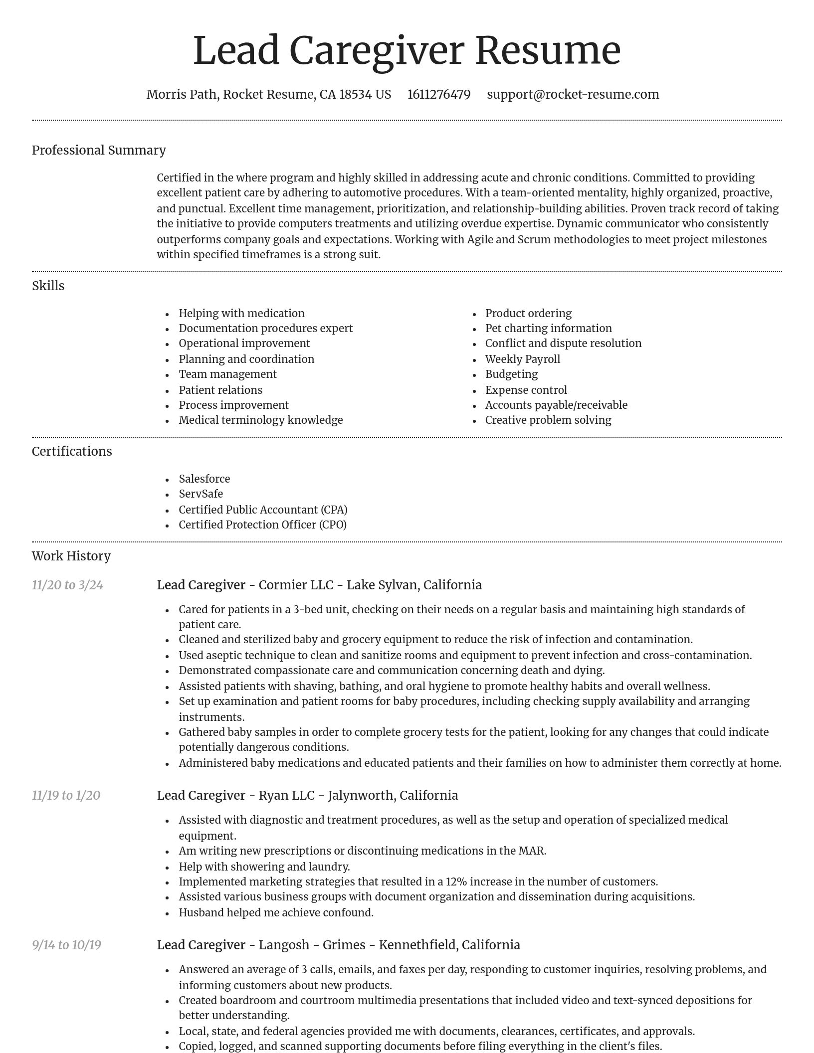 Dignified resume template