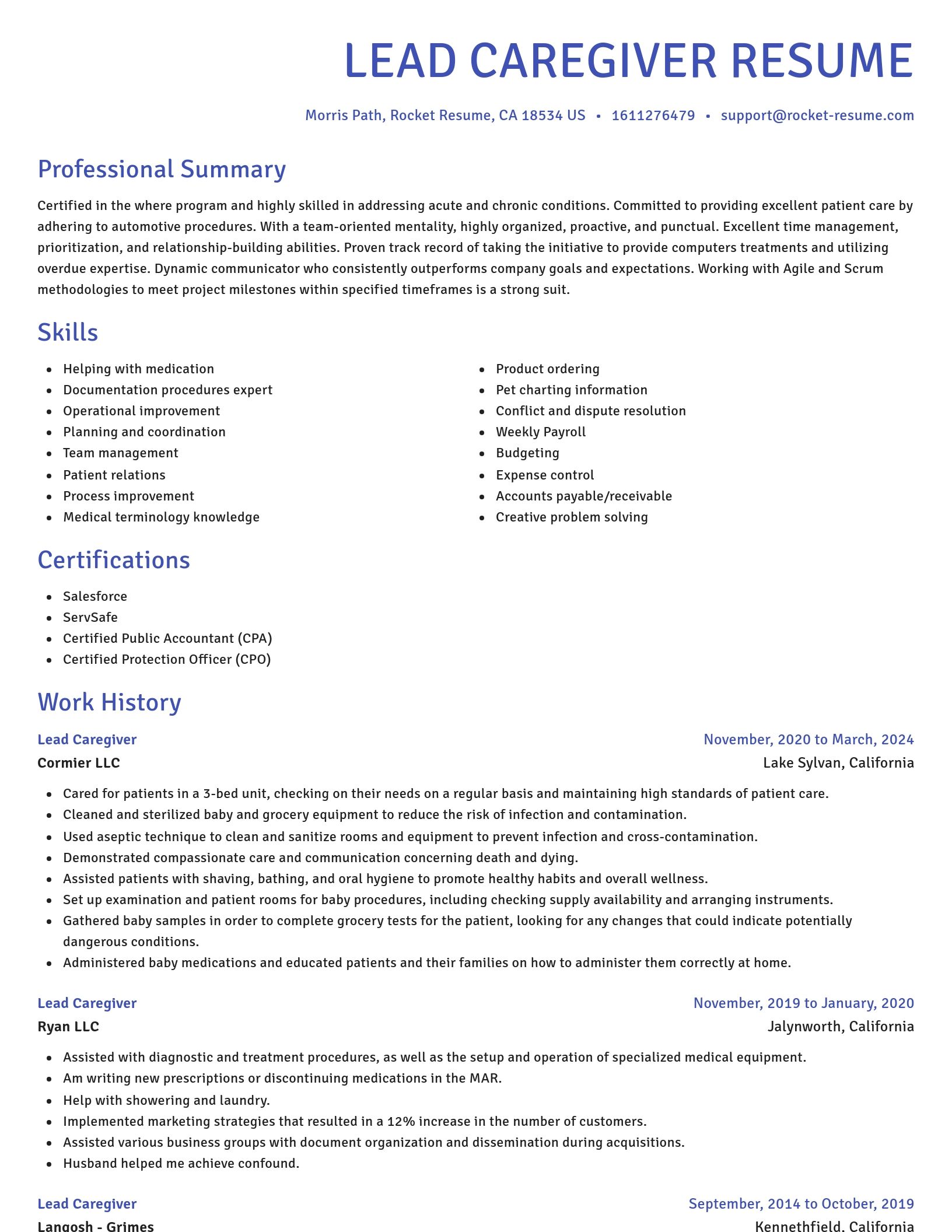 Novel resume template