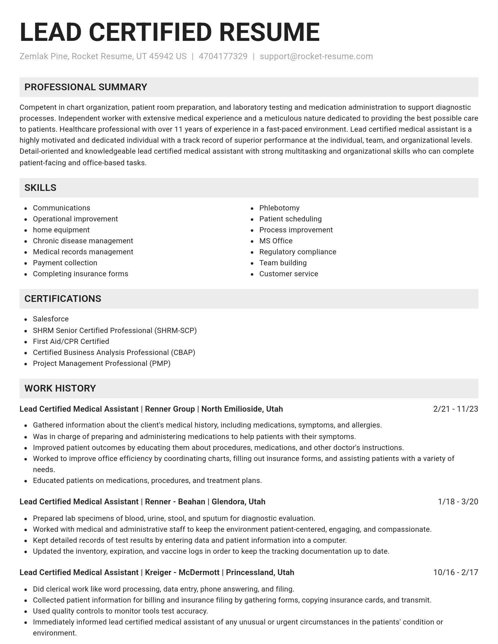 Genius resume template