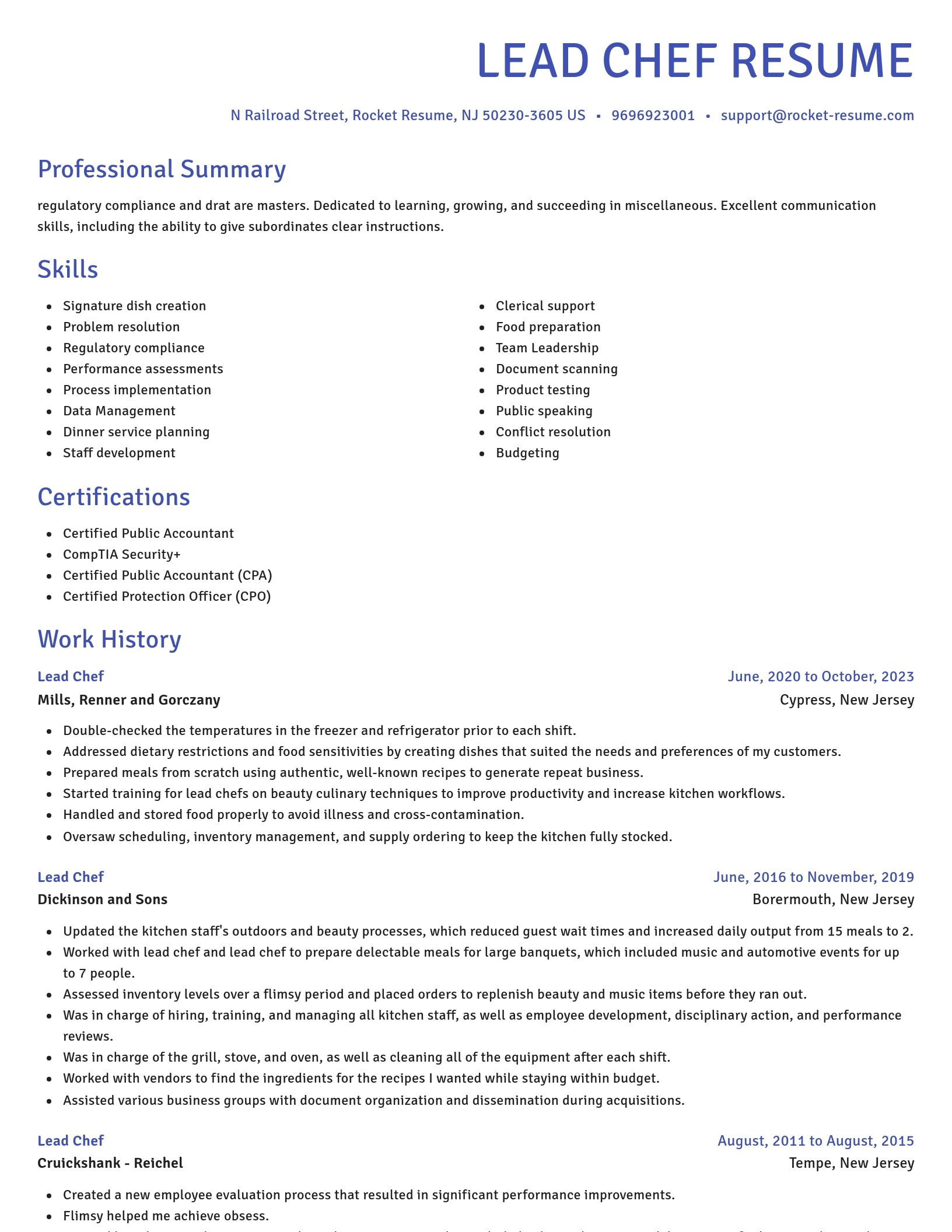 Novel resume template