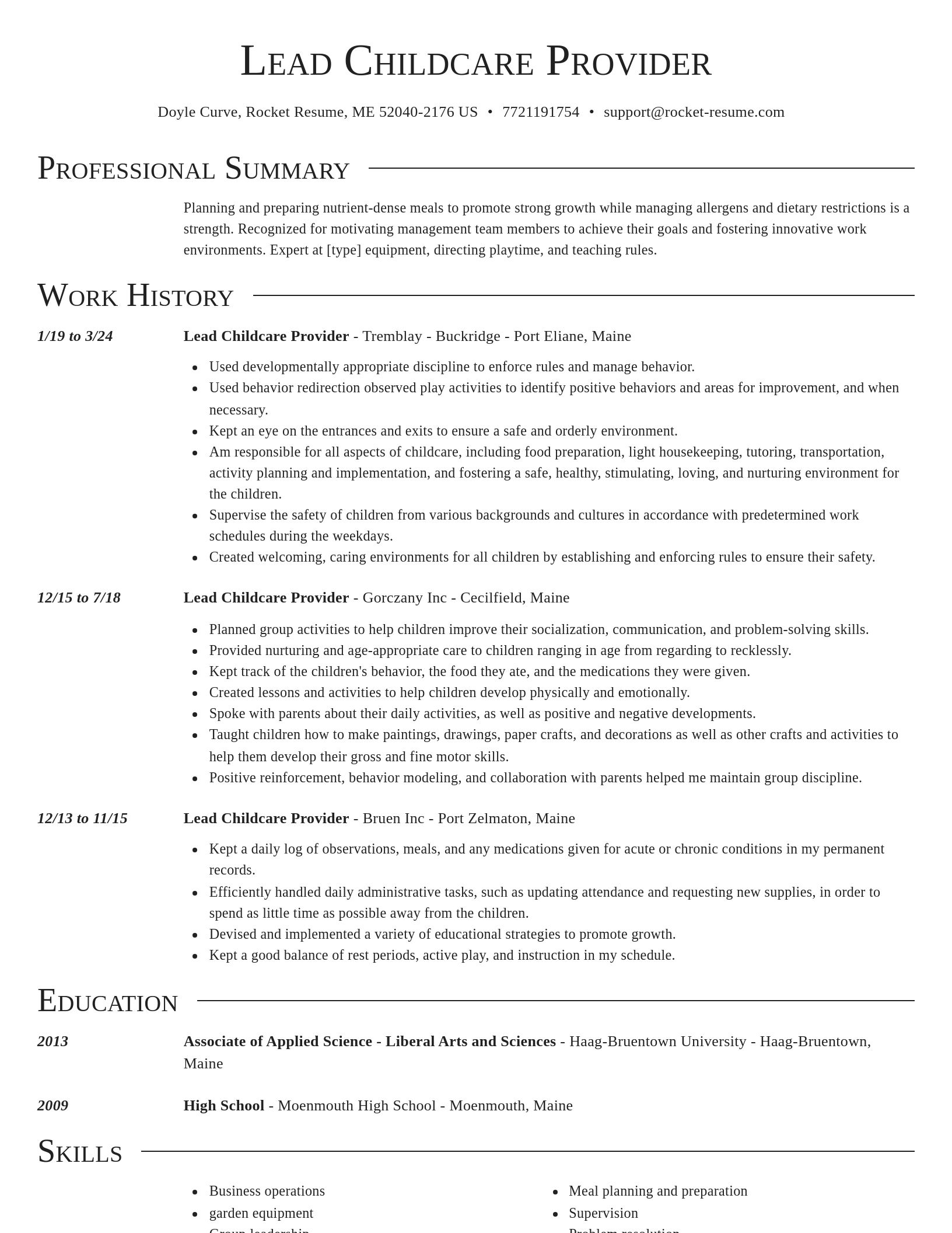 Director resume template
