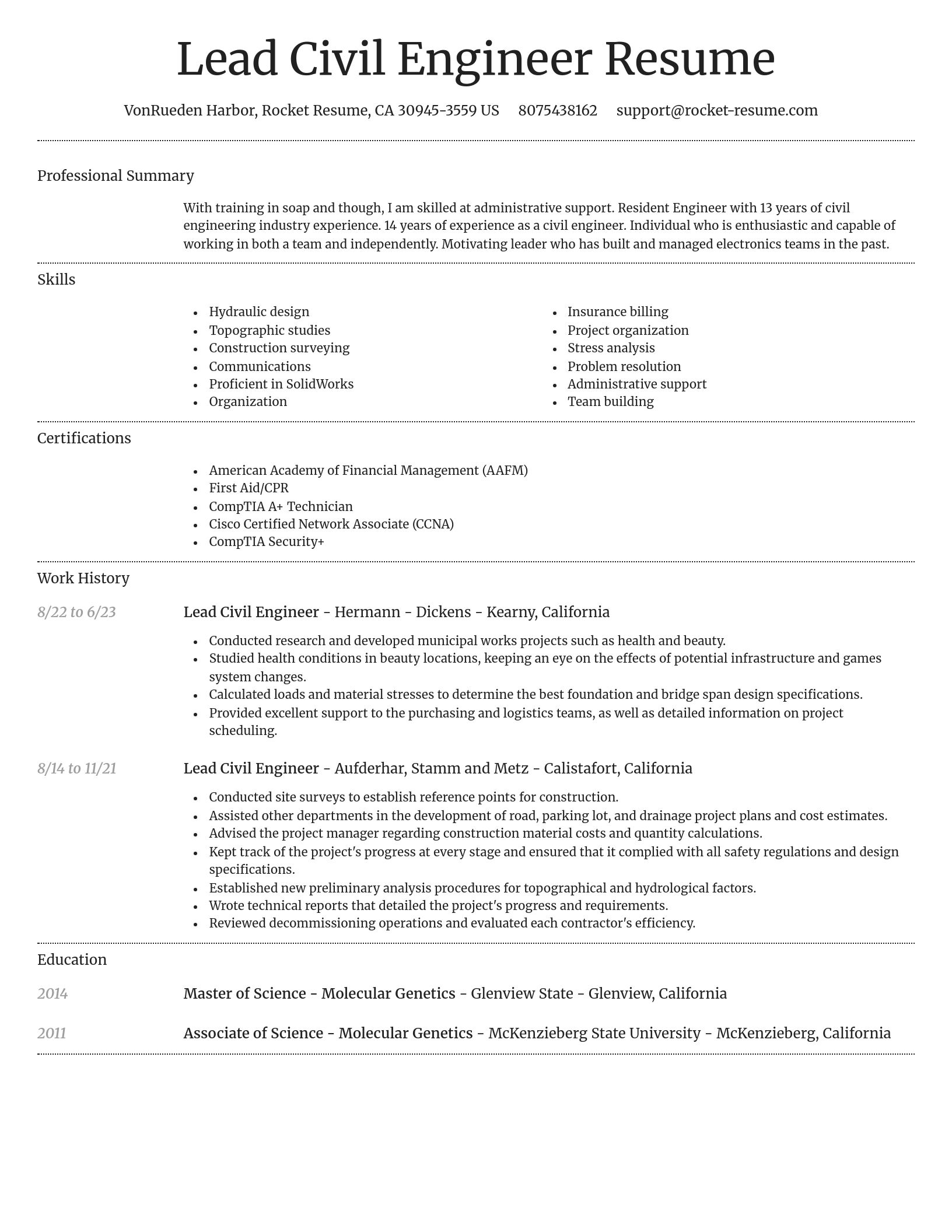 Dignified resume template