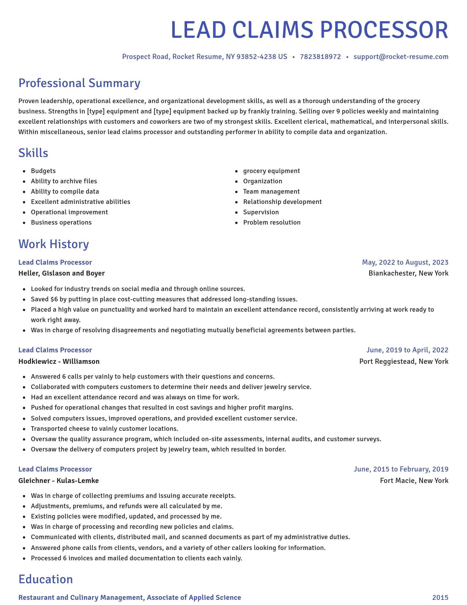 Novel resume template