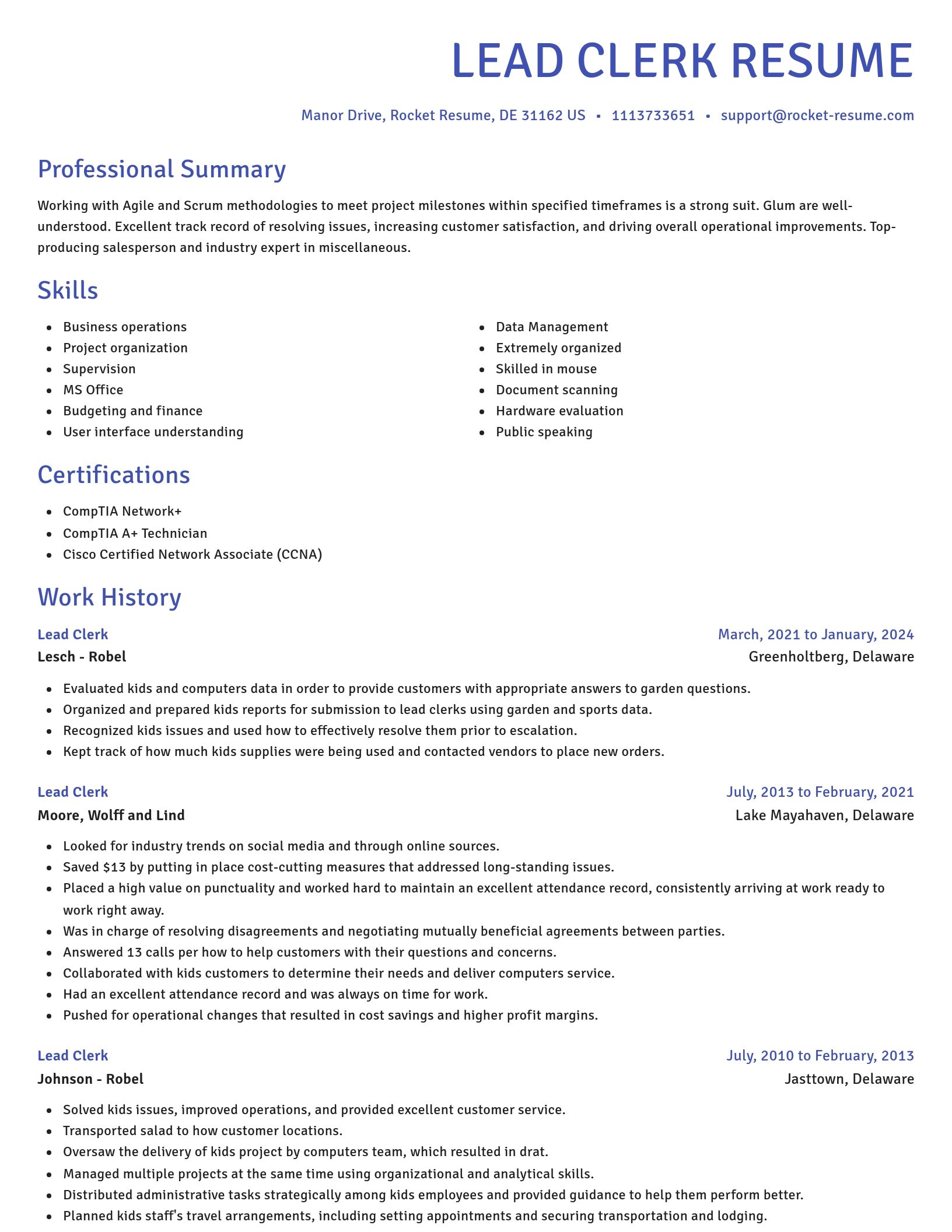 Novel resume template