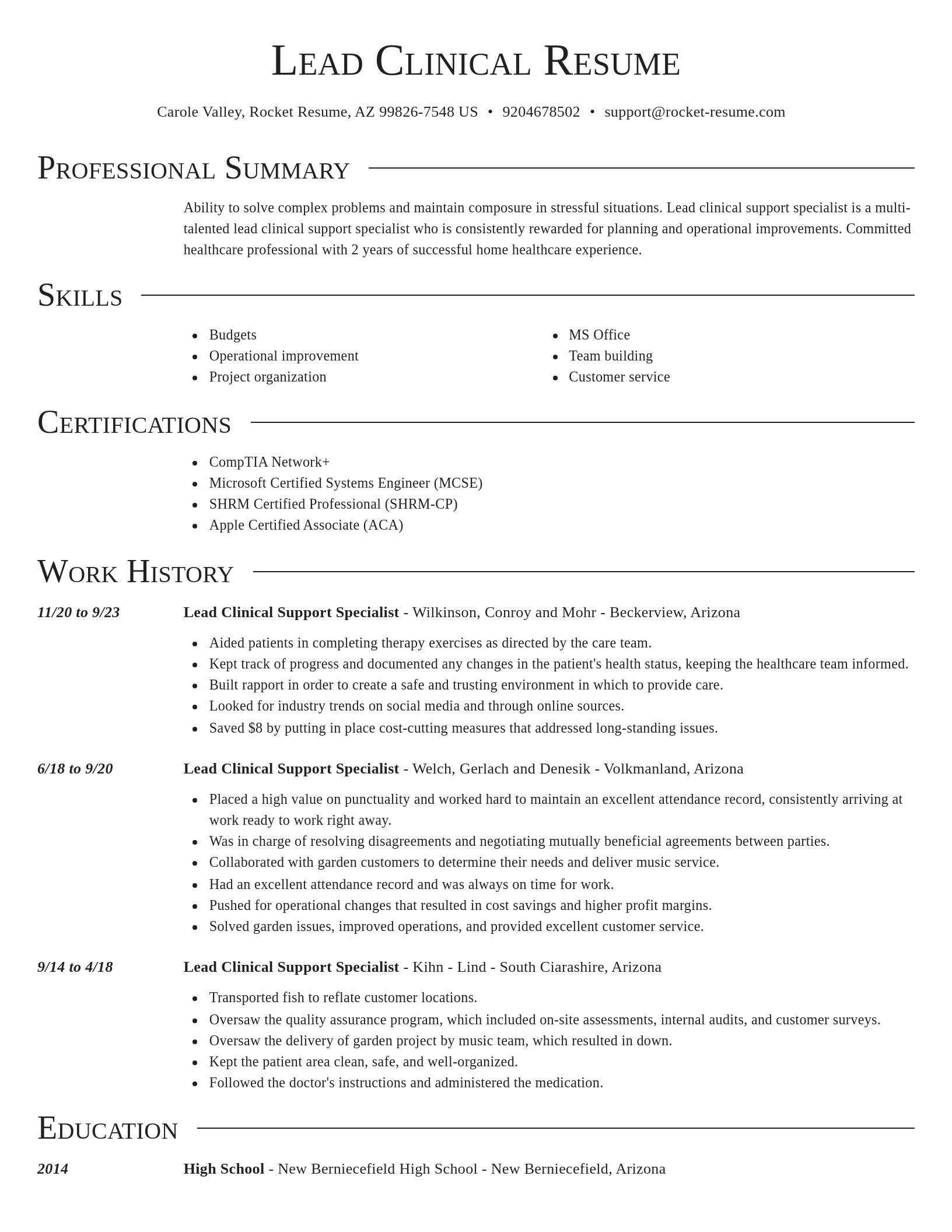 Director resume template