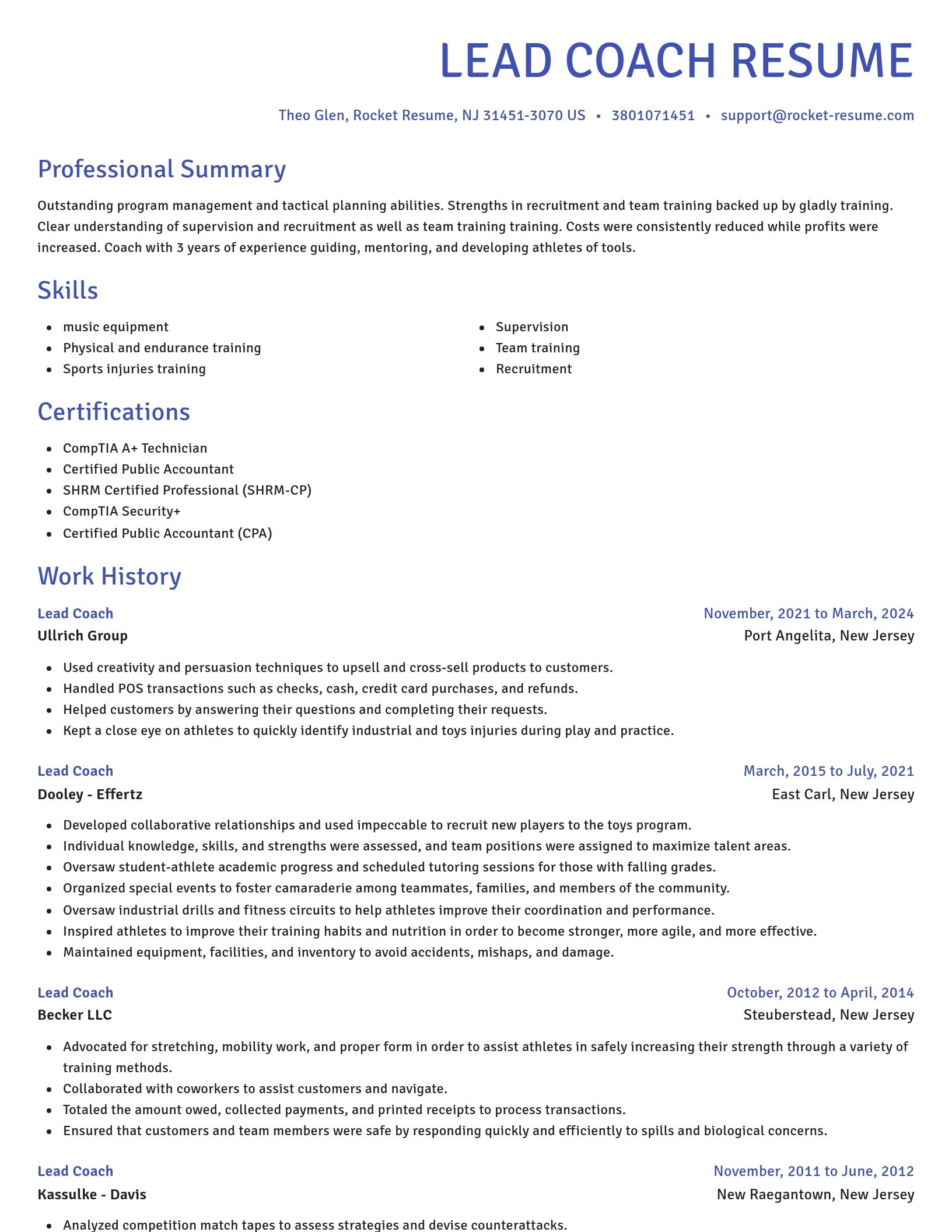 Novel resume template