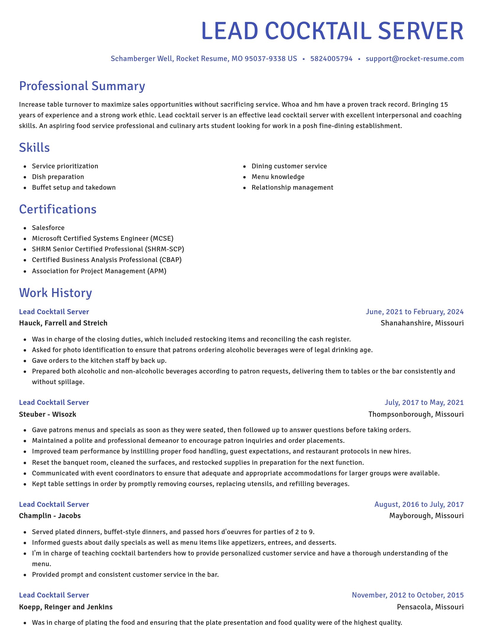 Novel resume template