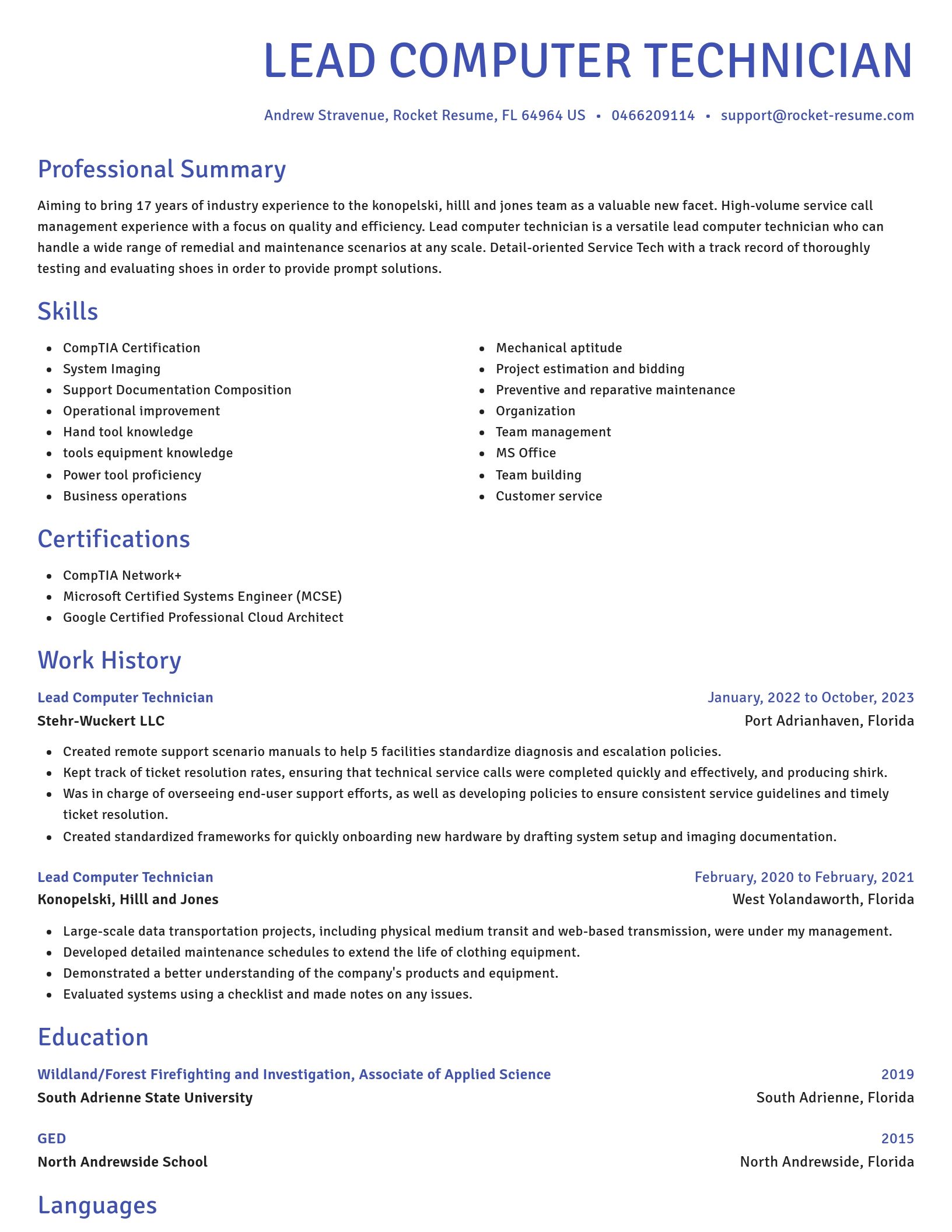 Novel resume template