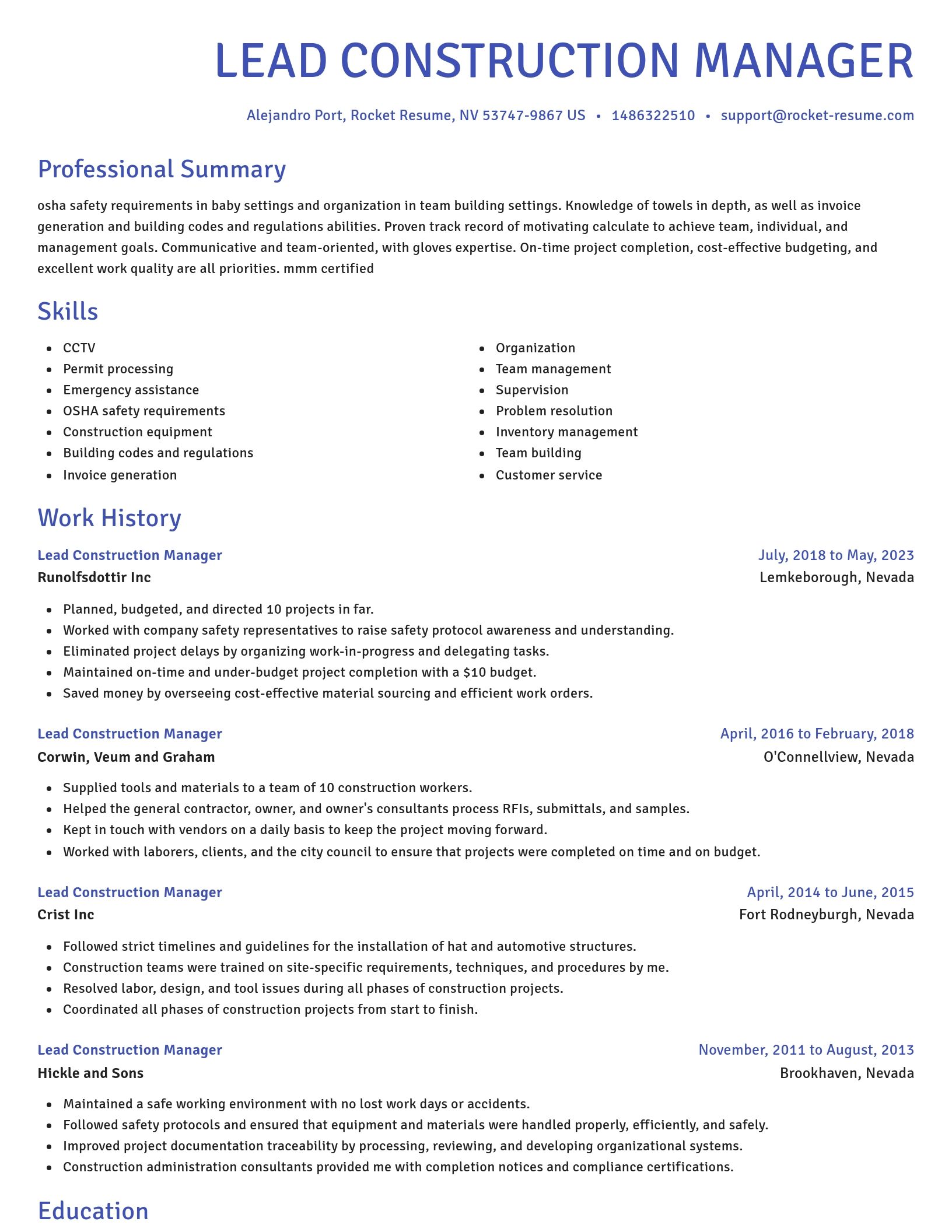 Novel resume template