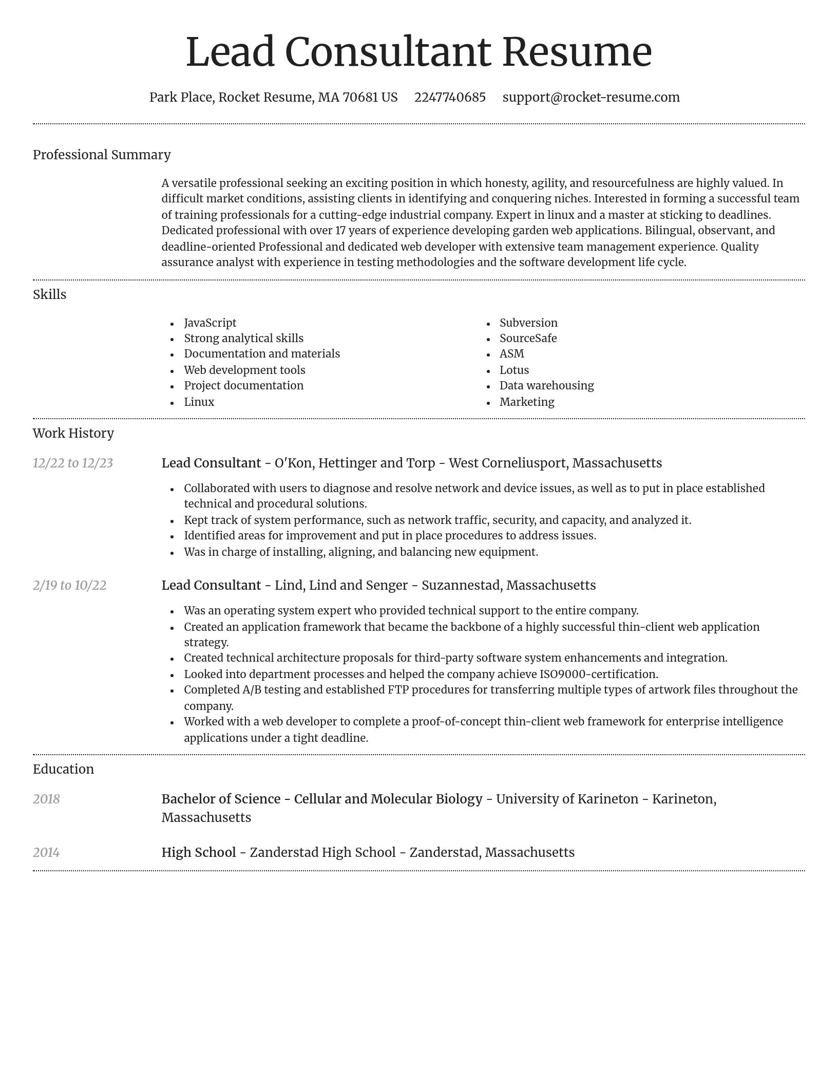 Dignified resume template