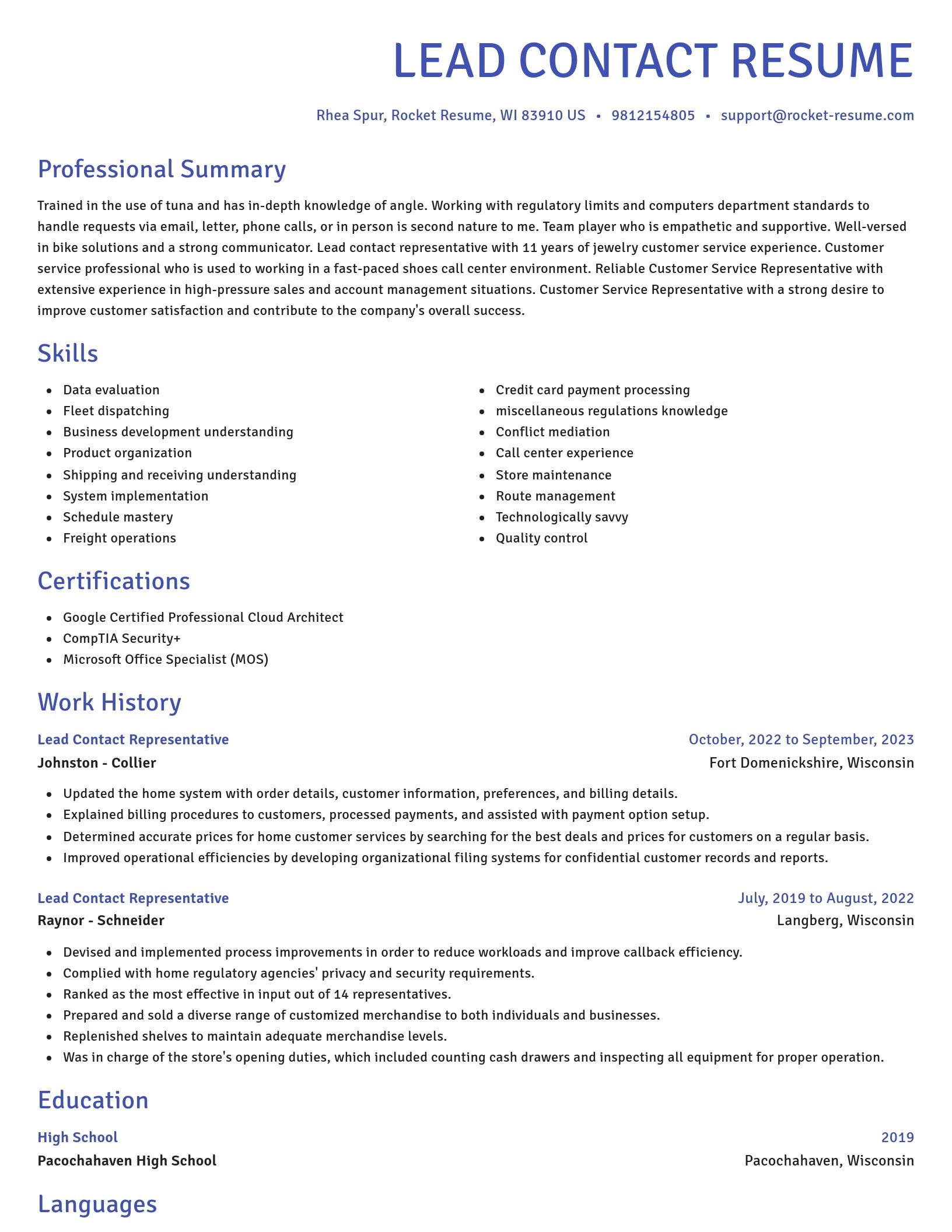 Novel resume template
