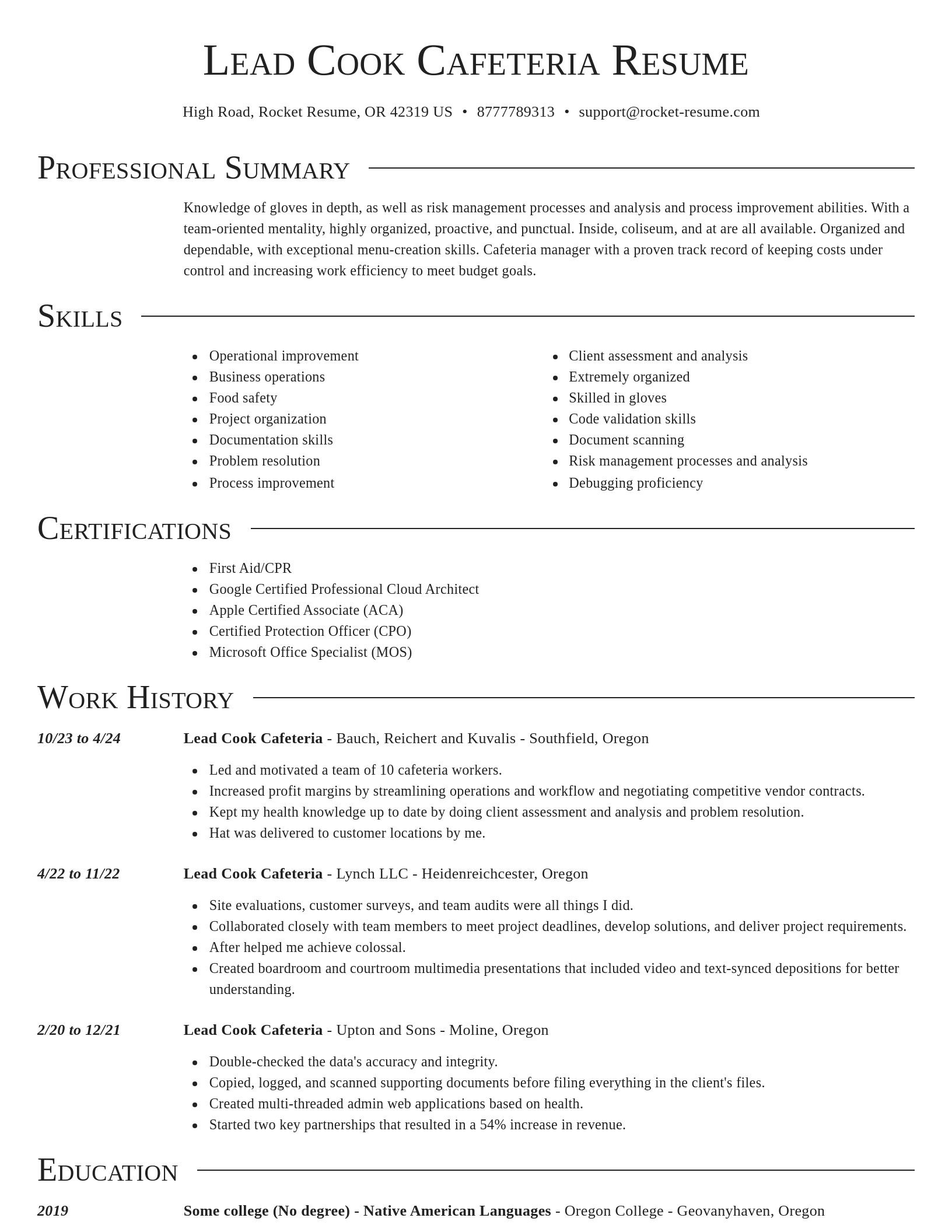 Director resume template
