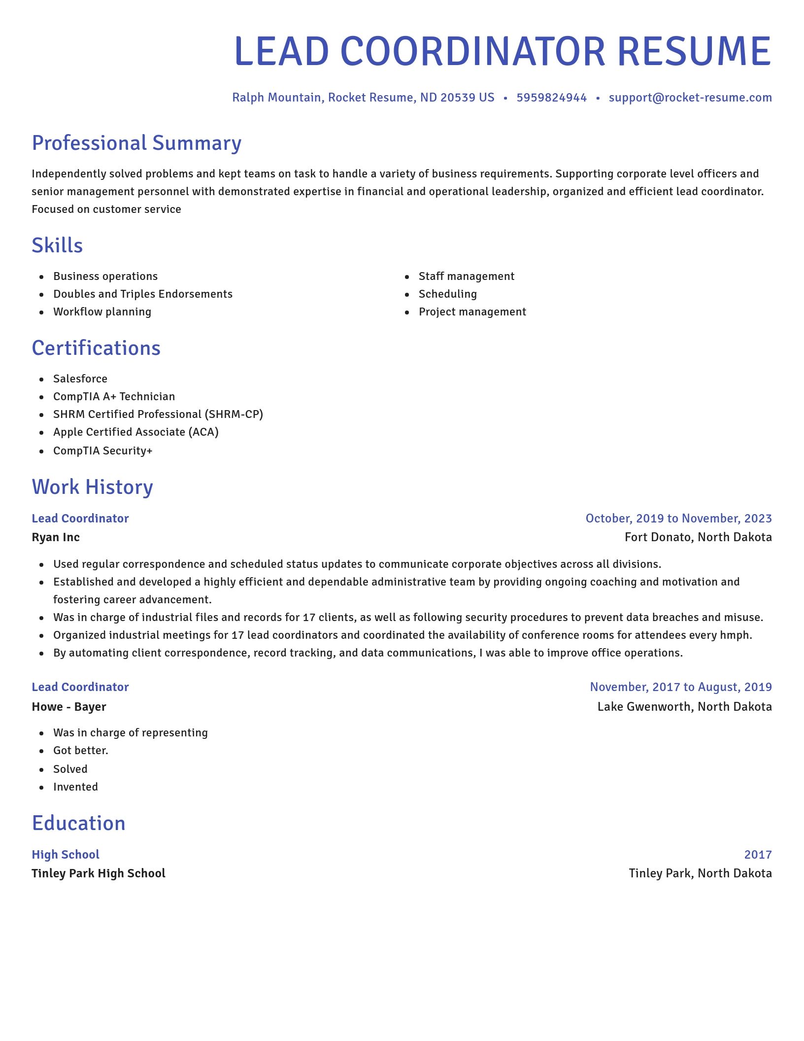 Novel resume template