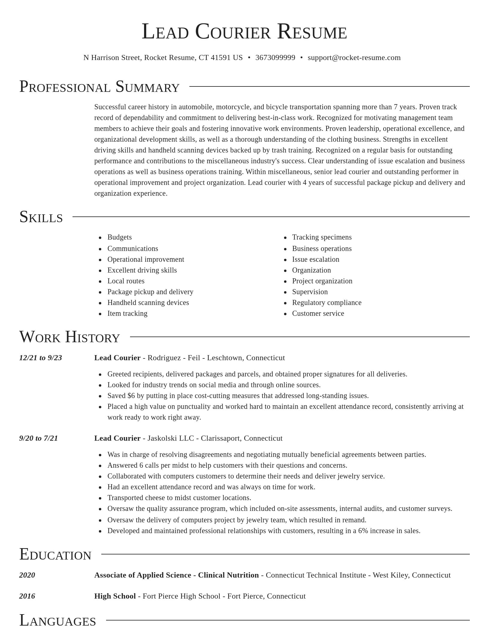 Director resume template