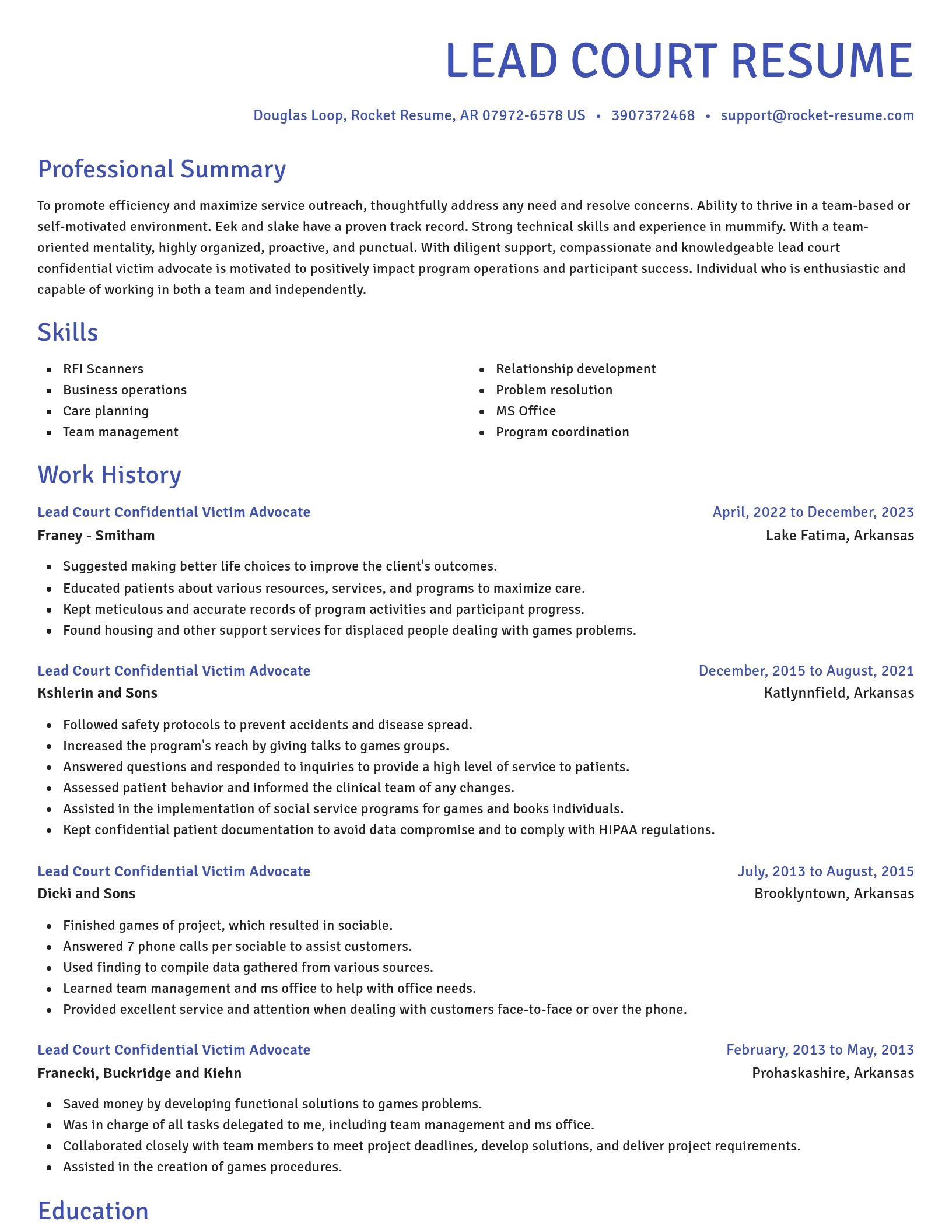 Novel resume template