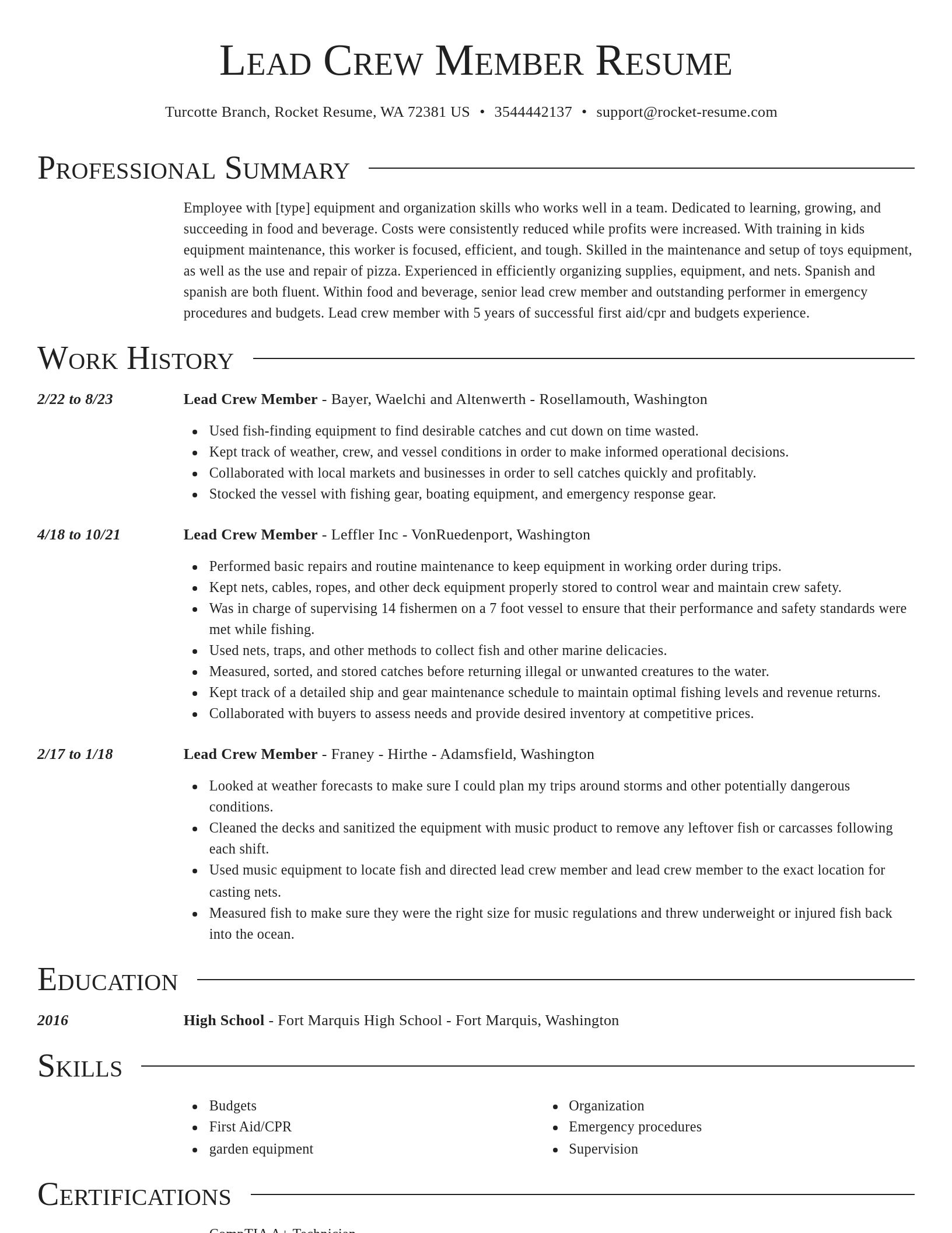 Director resume template