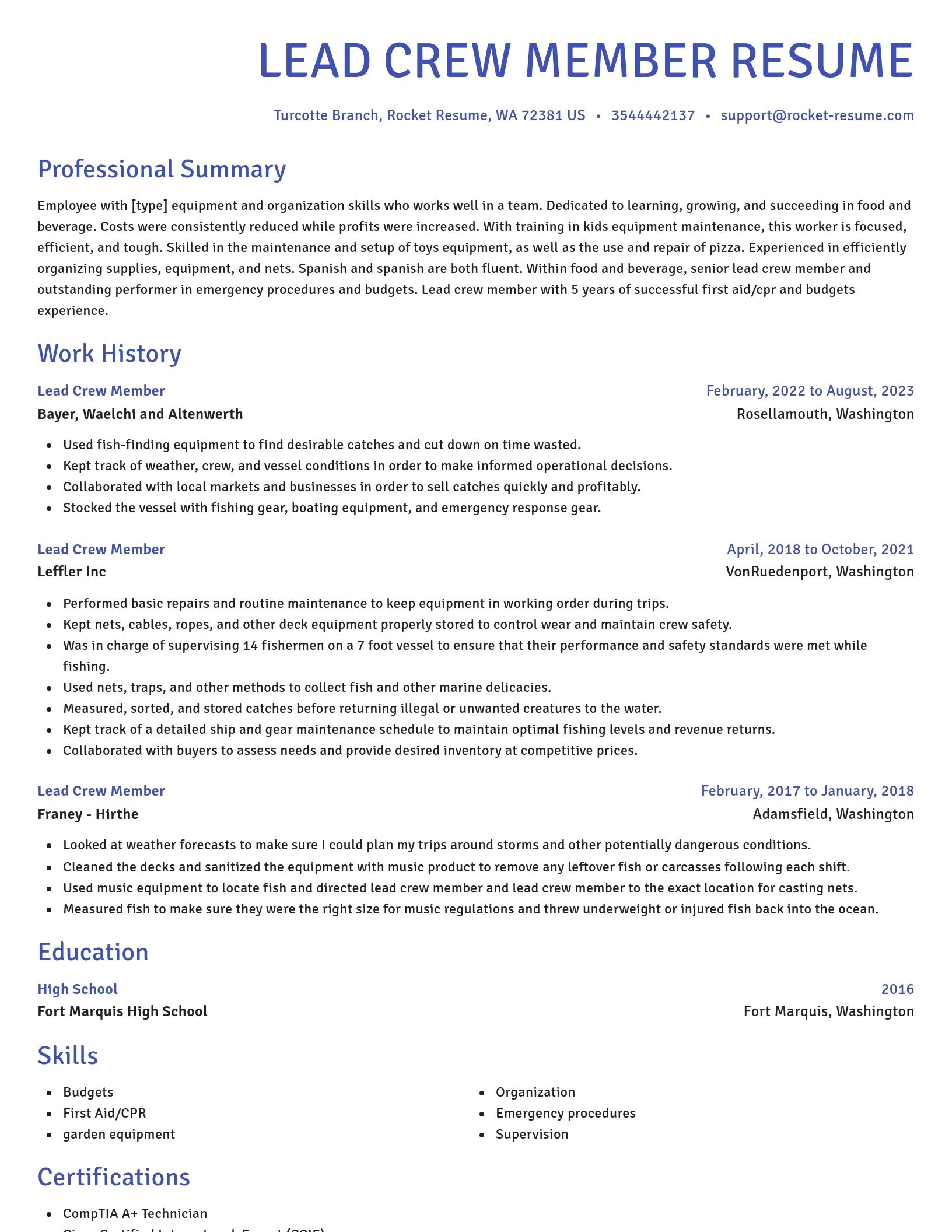 Novel resume template