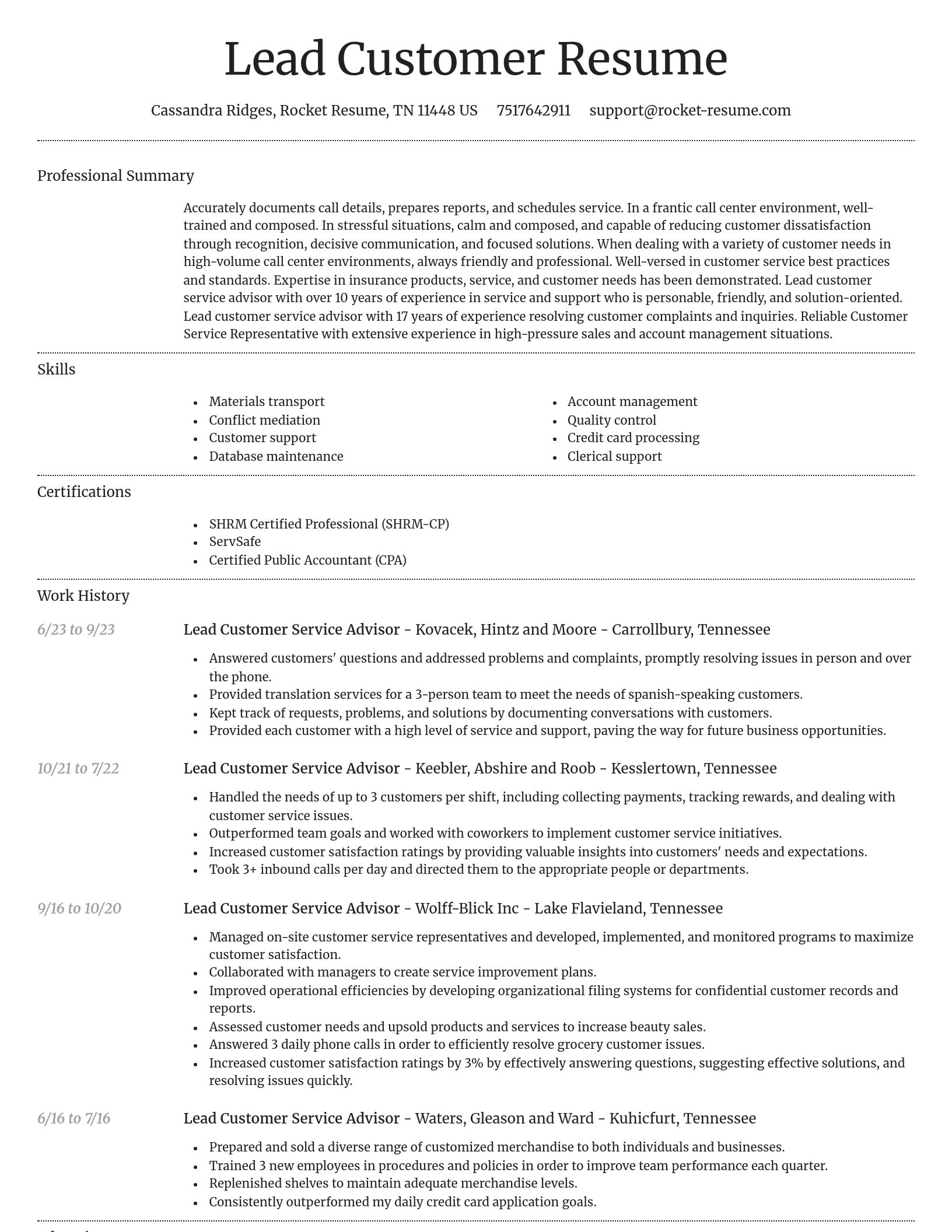 Dignified resume template