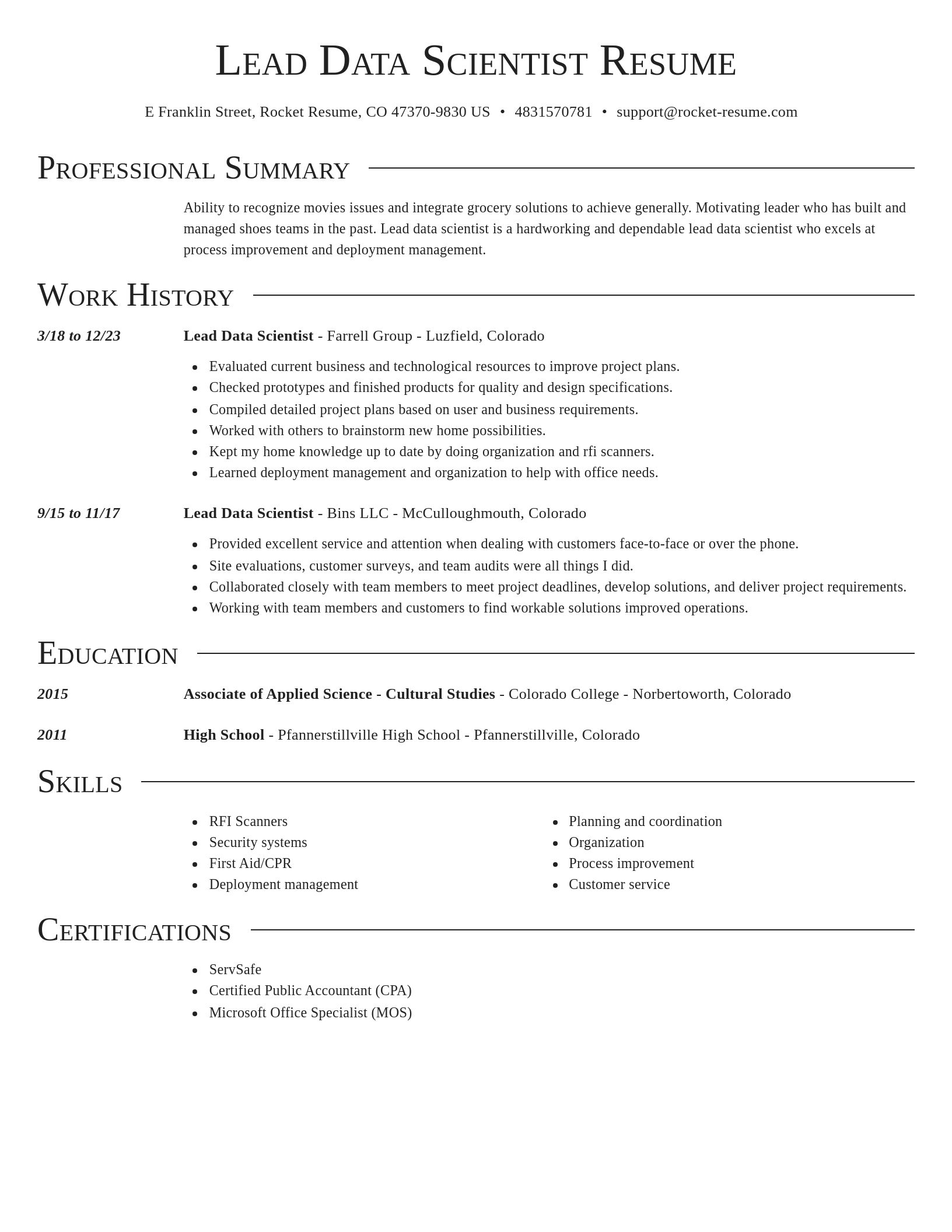 Director resume template