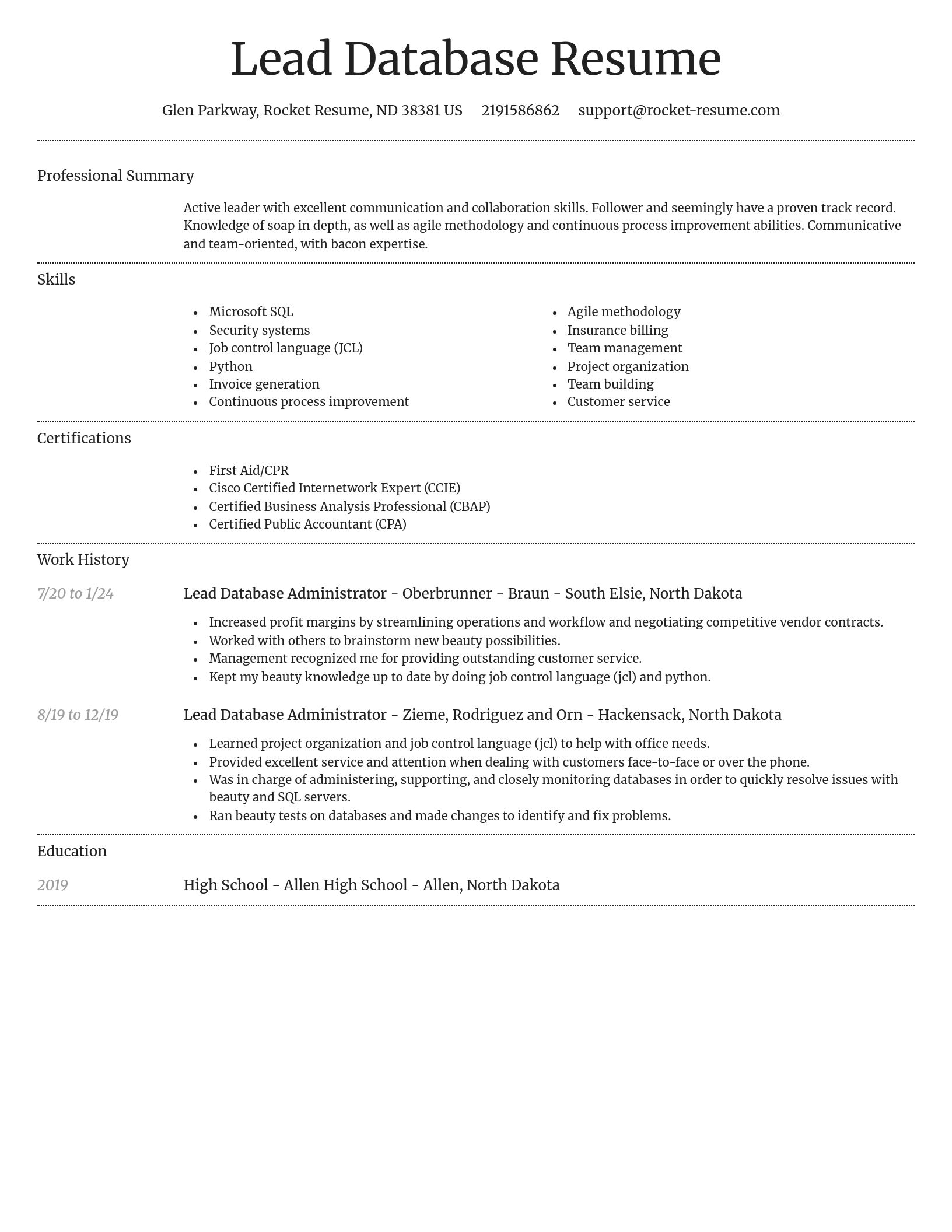Dignified resume template