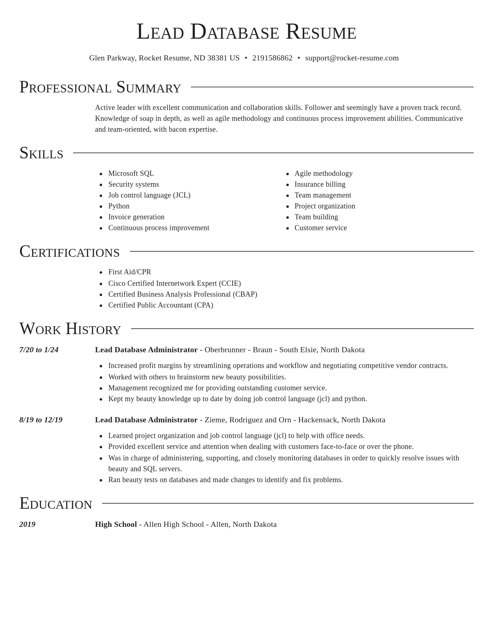 Director resume template