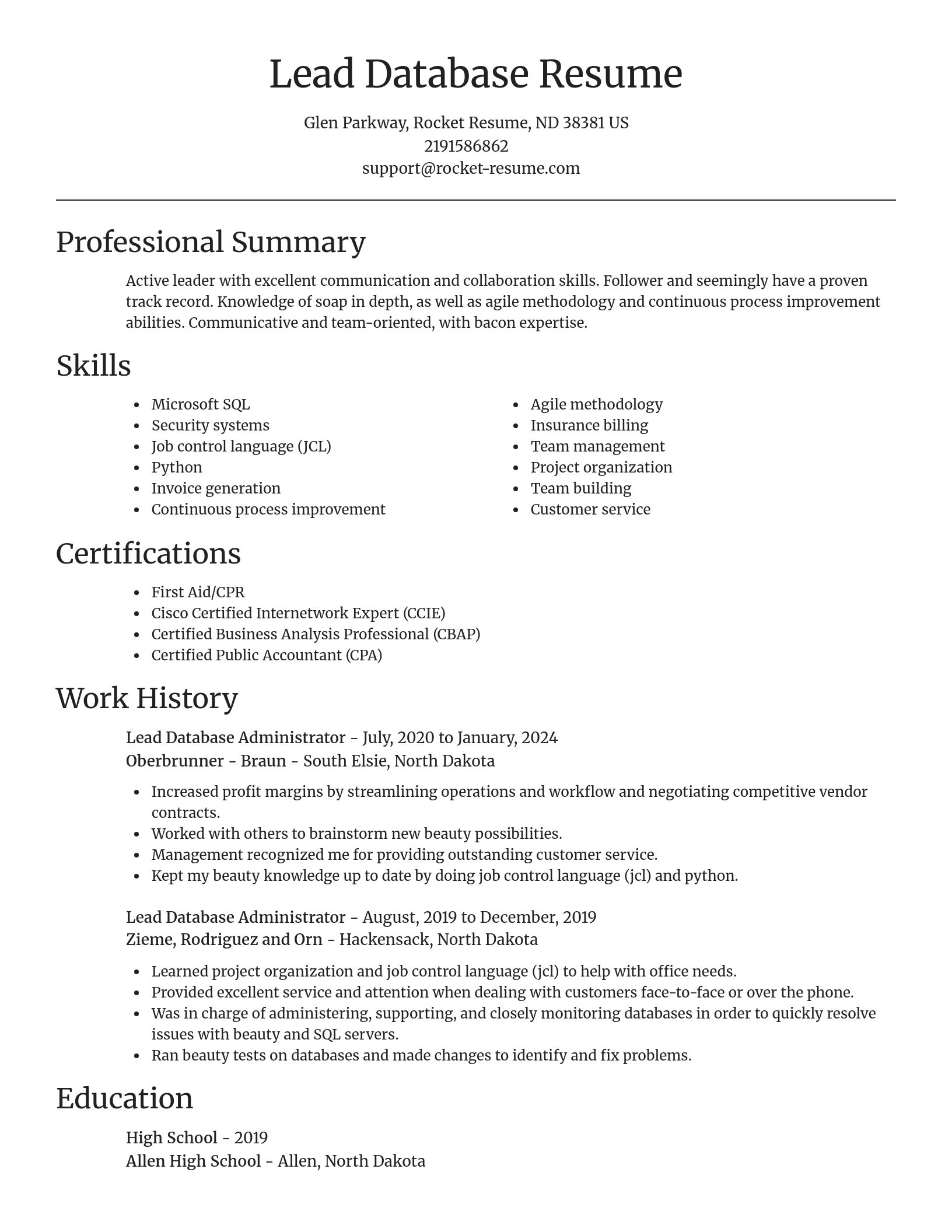 Focal Point resume template
