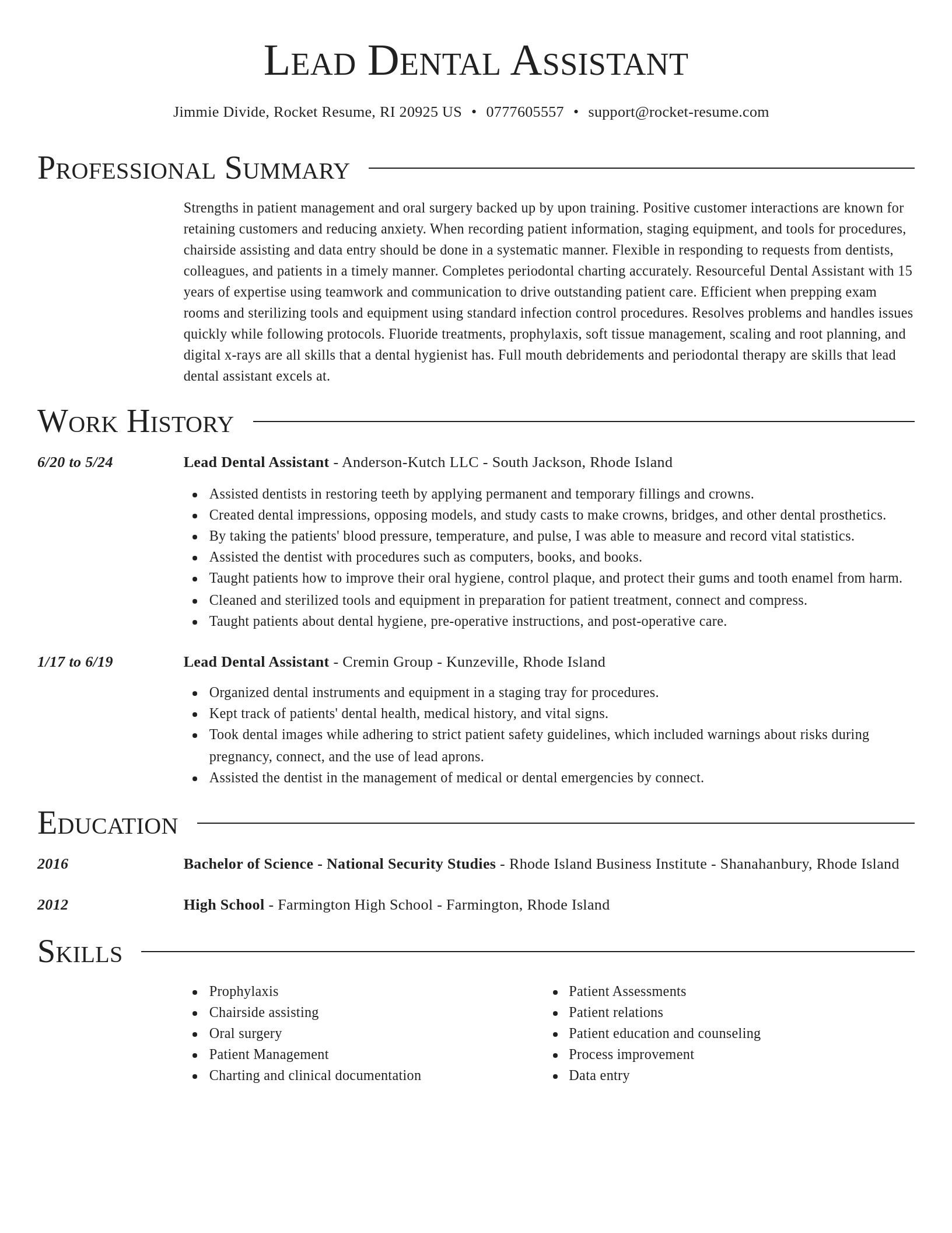Director resume template