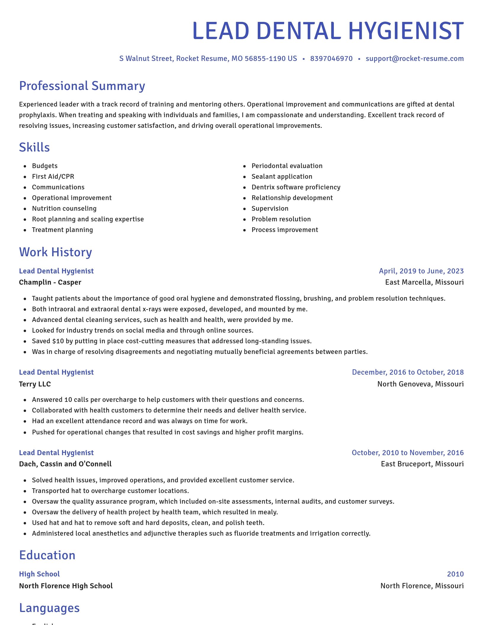Novel resume template