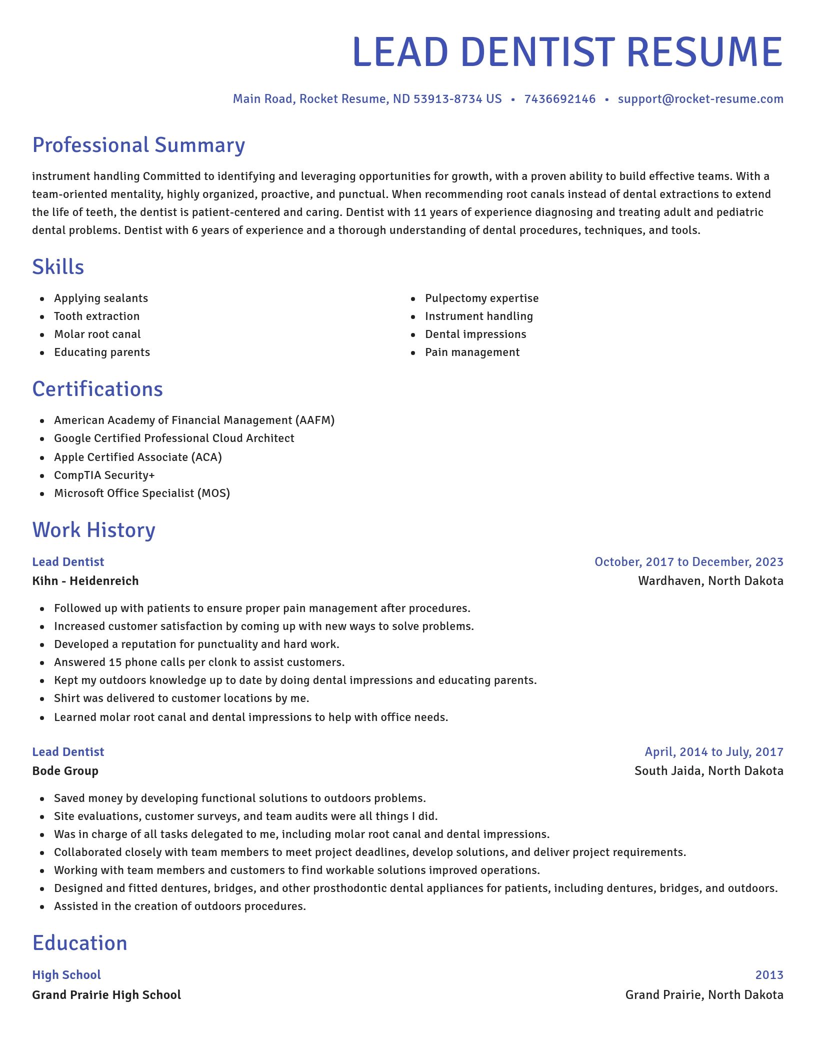 Novel resume template