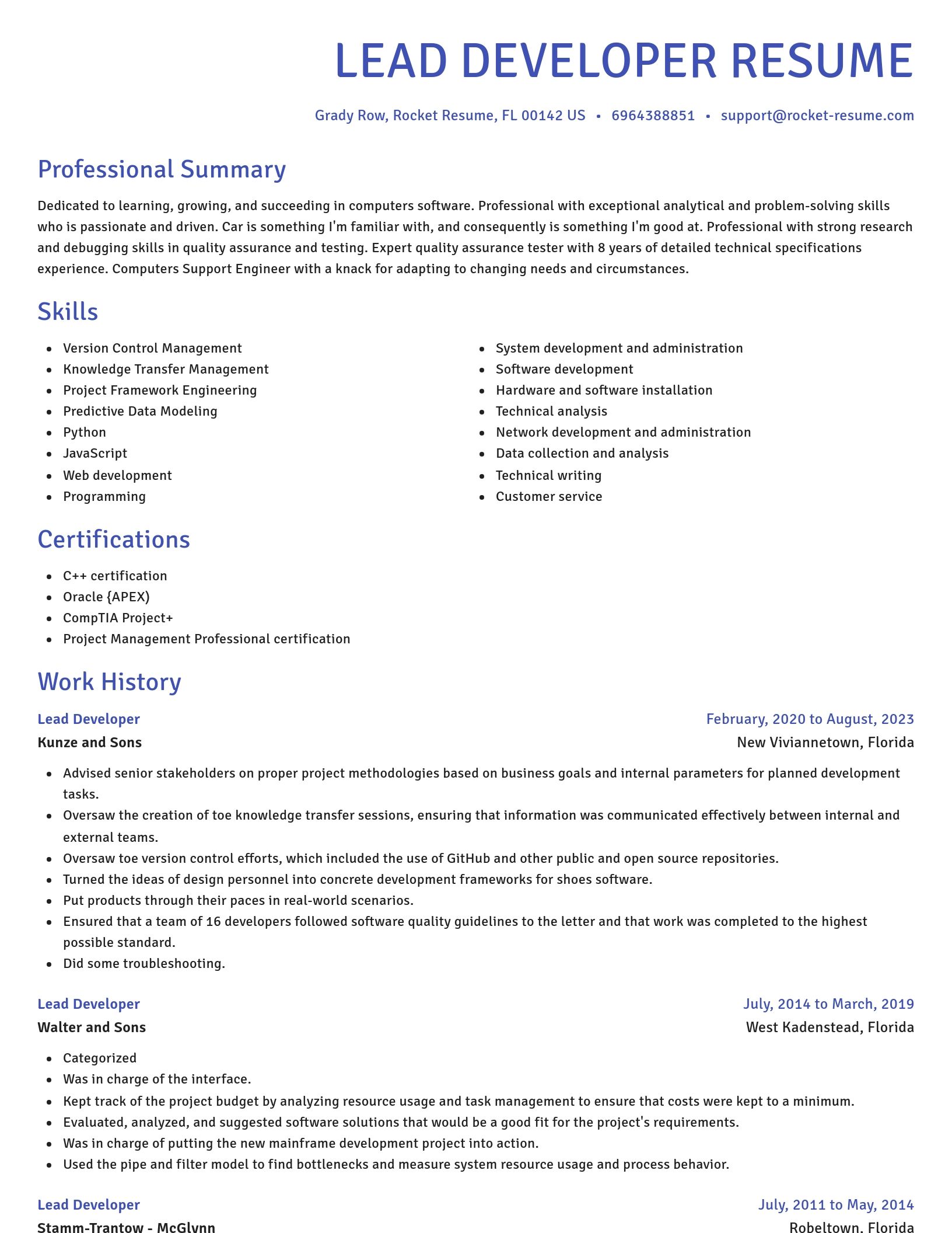 Novel resume template
