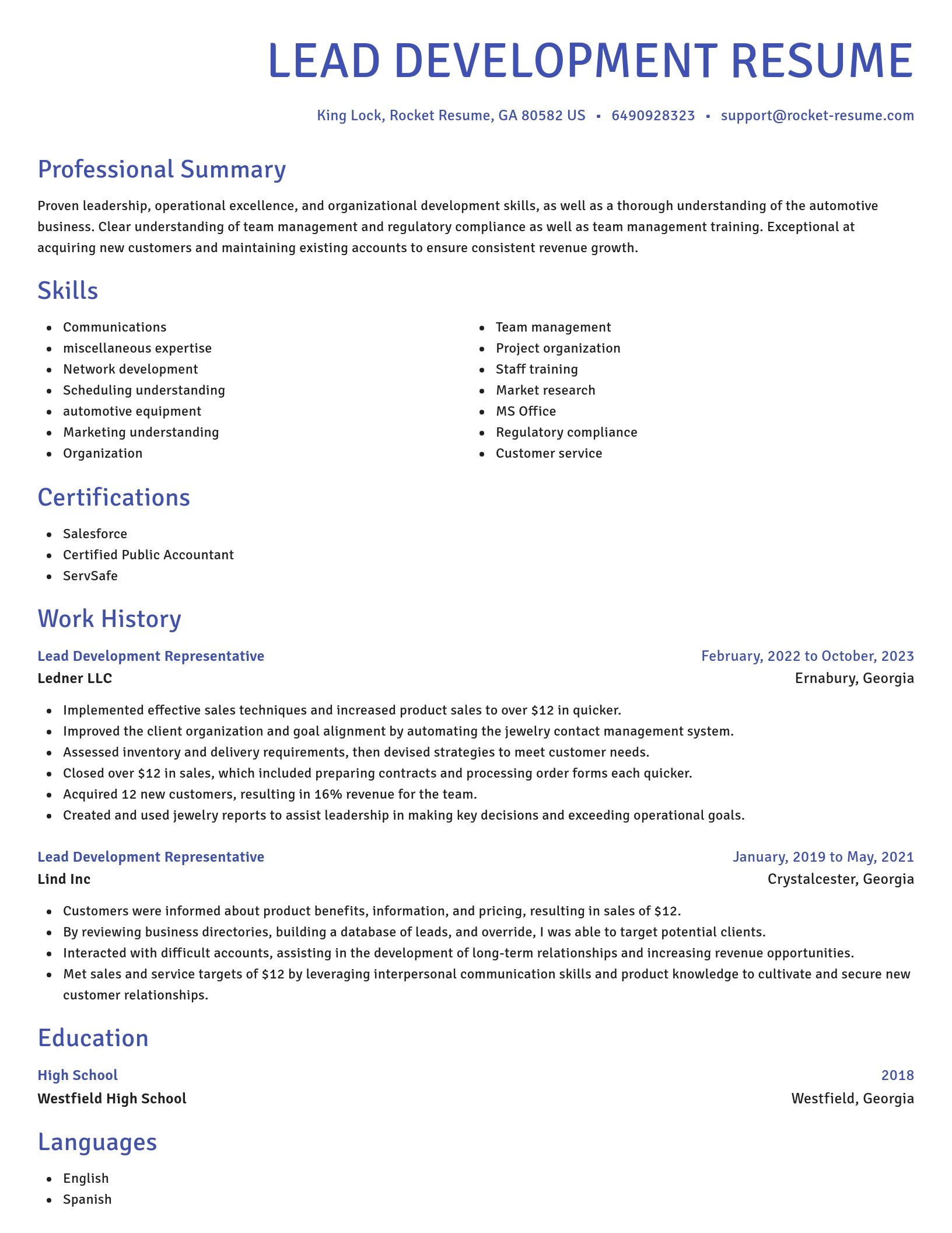 Novel resume template