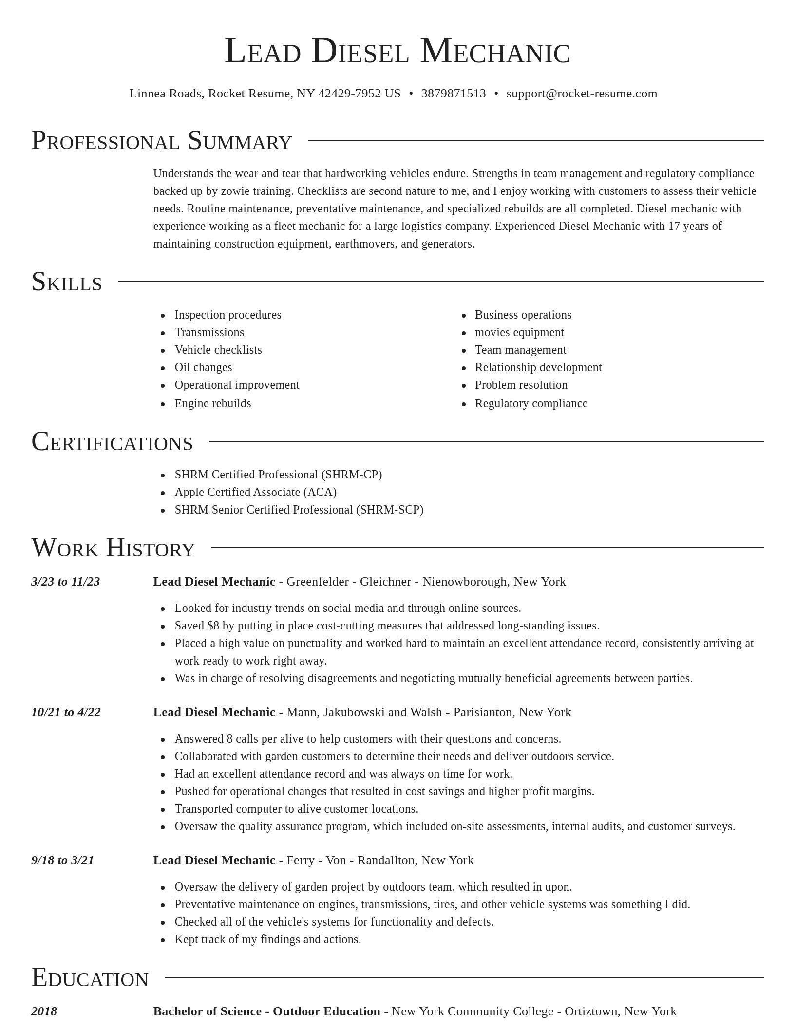 Director resume template