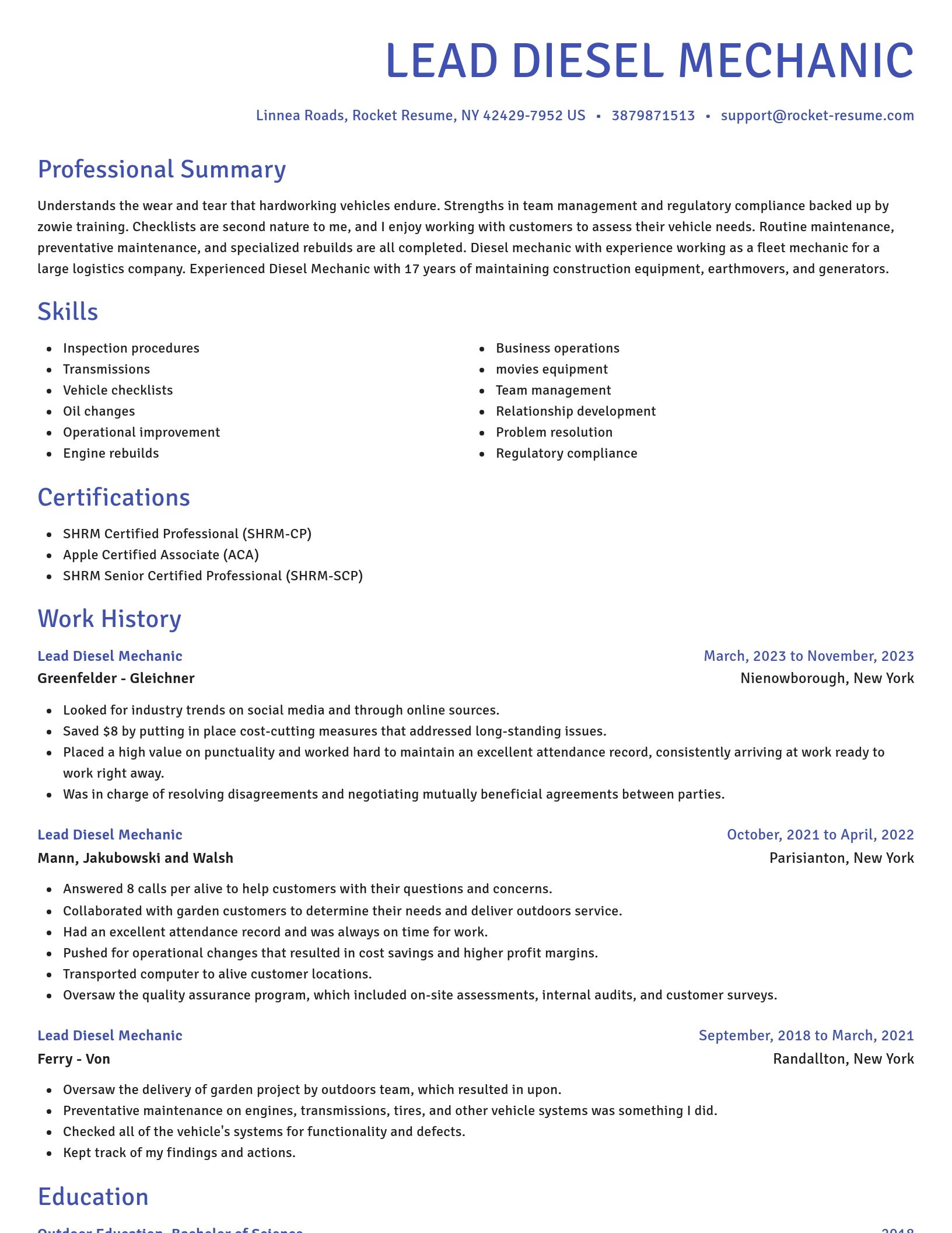 Novel resume template