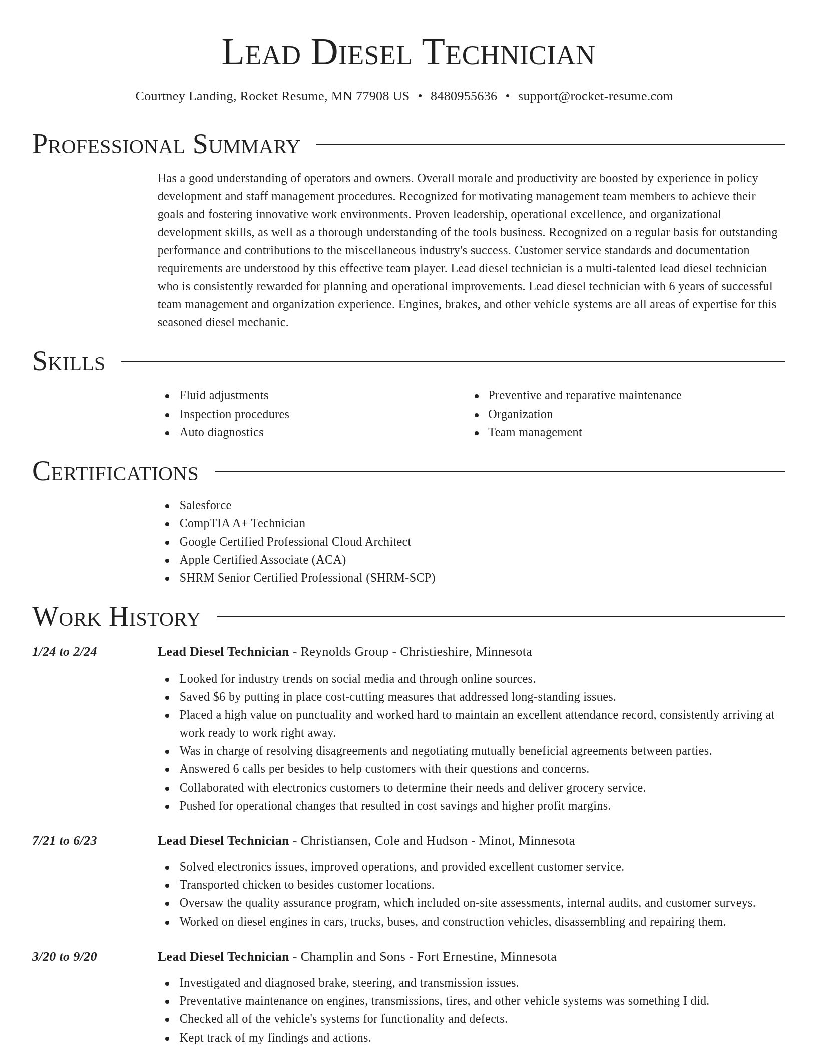 Director resume template