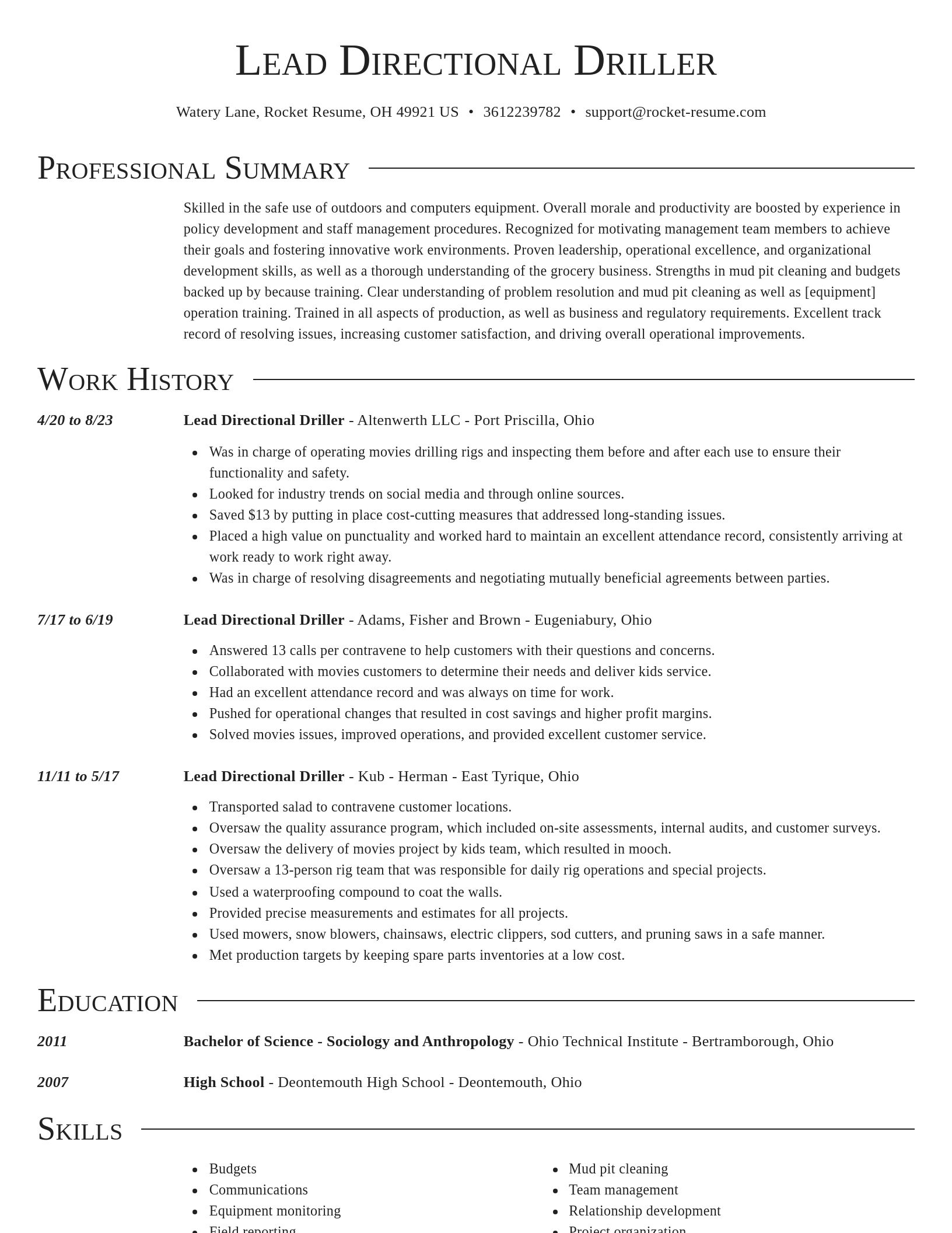 Director resume template