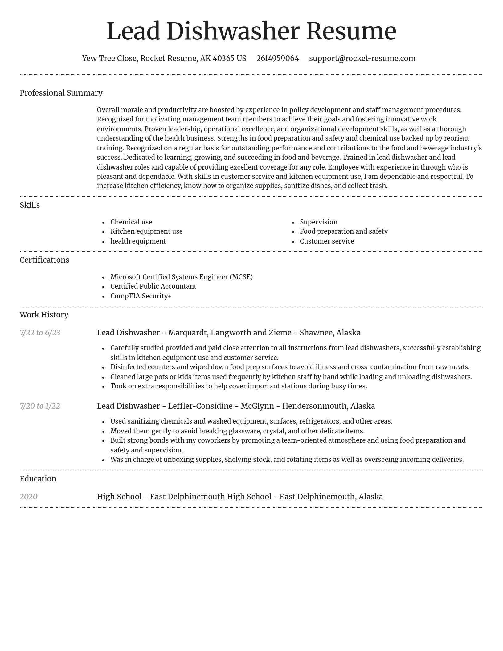 Dignified resume template