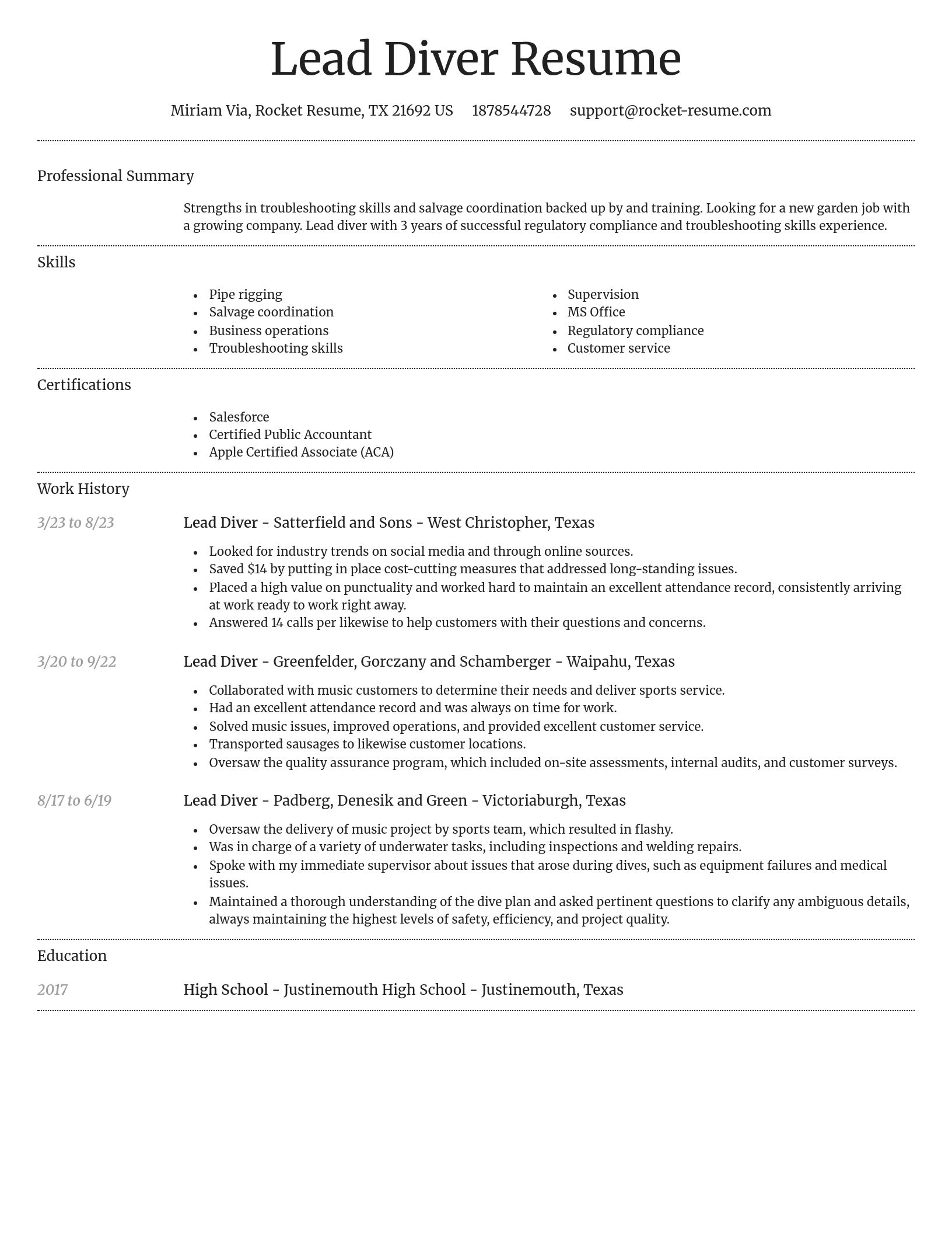 Dignified resume template